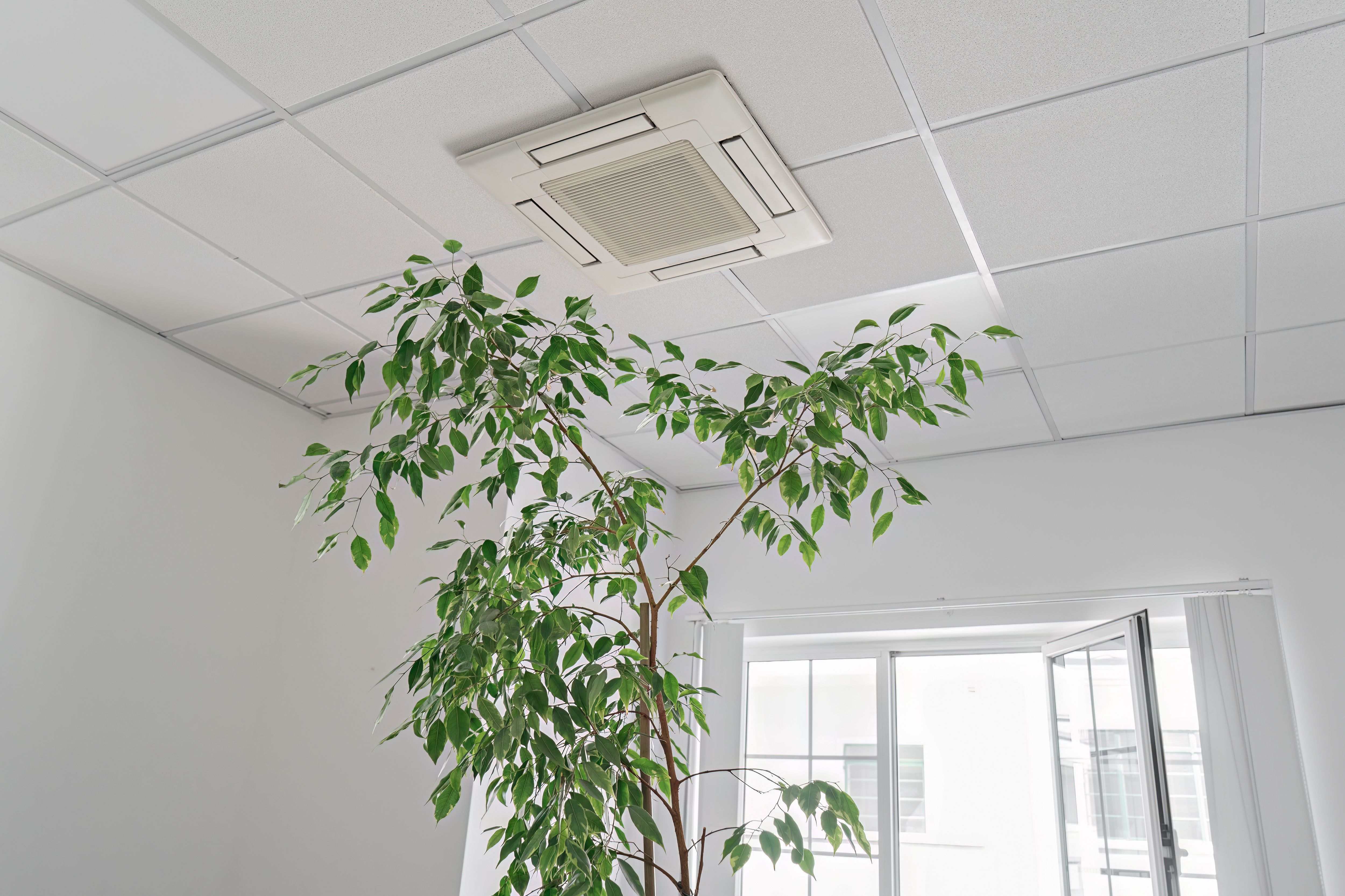 indoor air quality