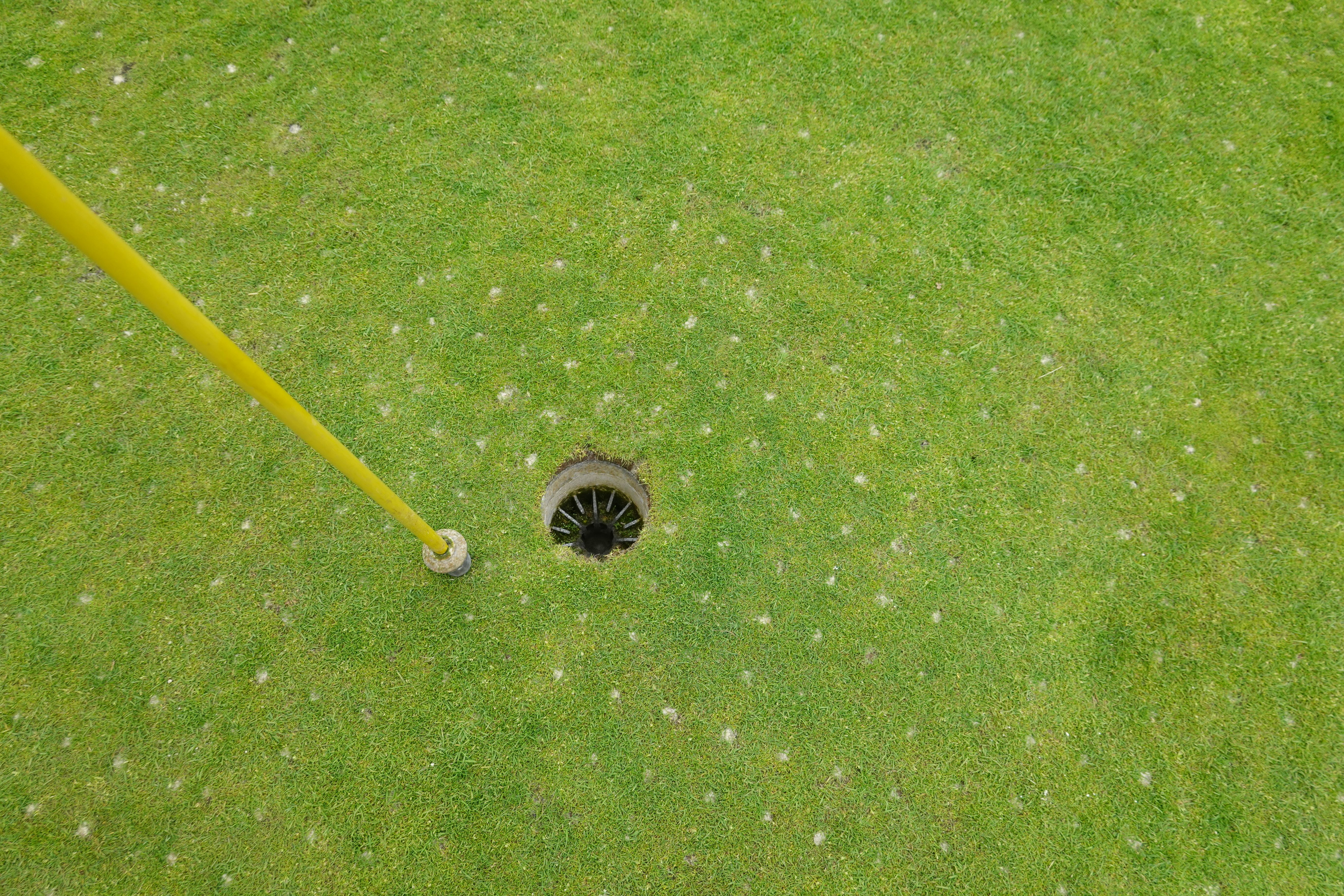 landscaping challenge