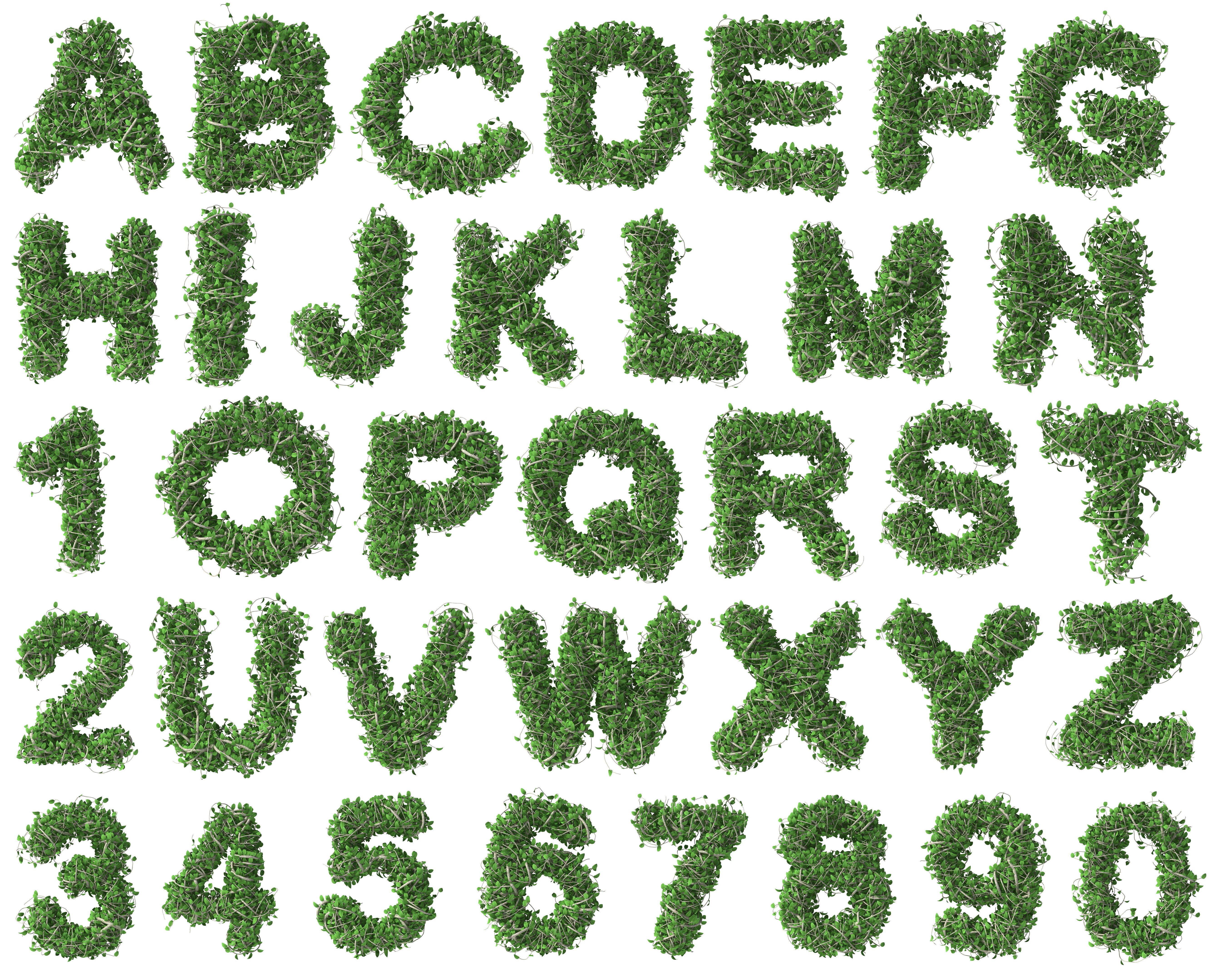 grass types