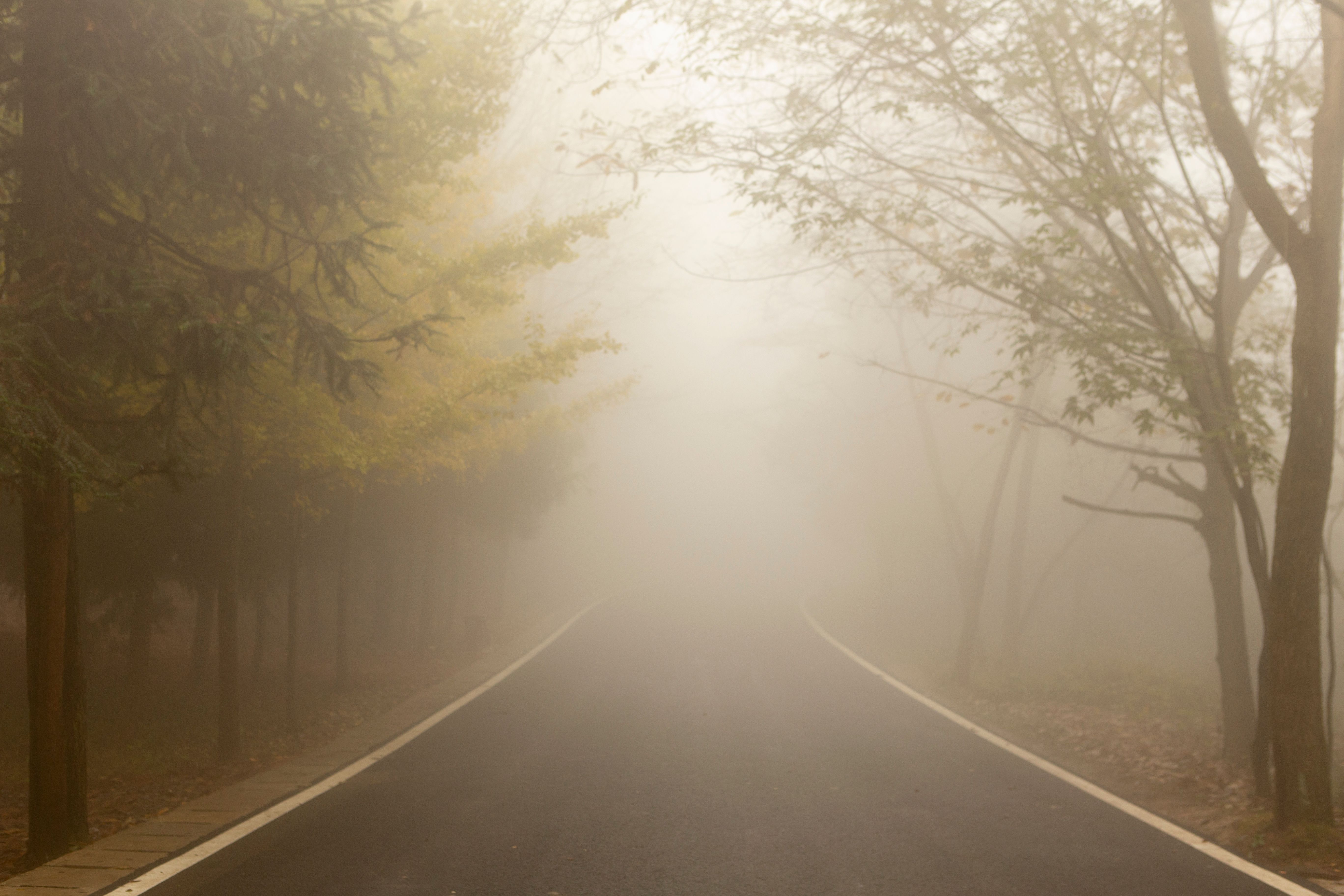 foggy road
