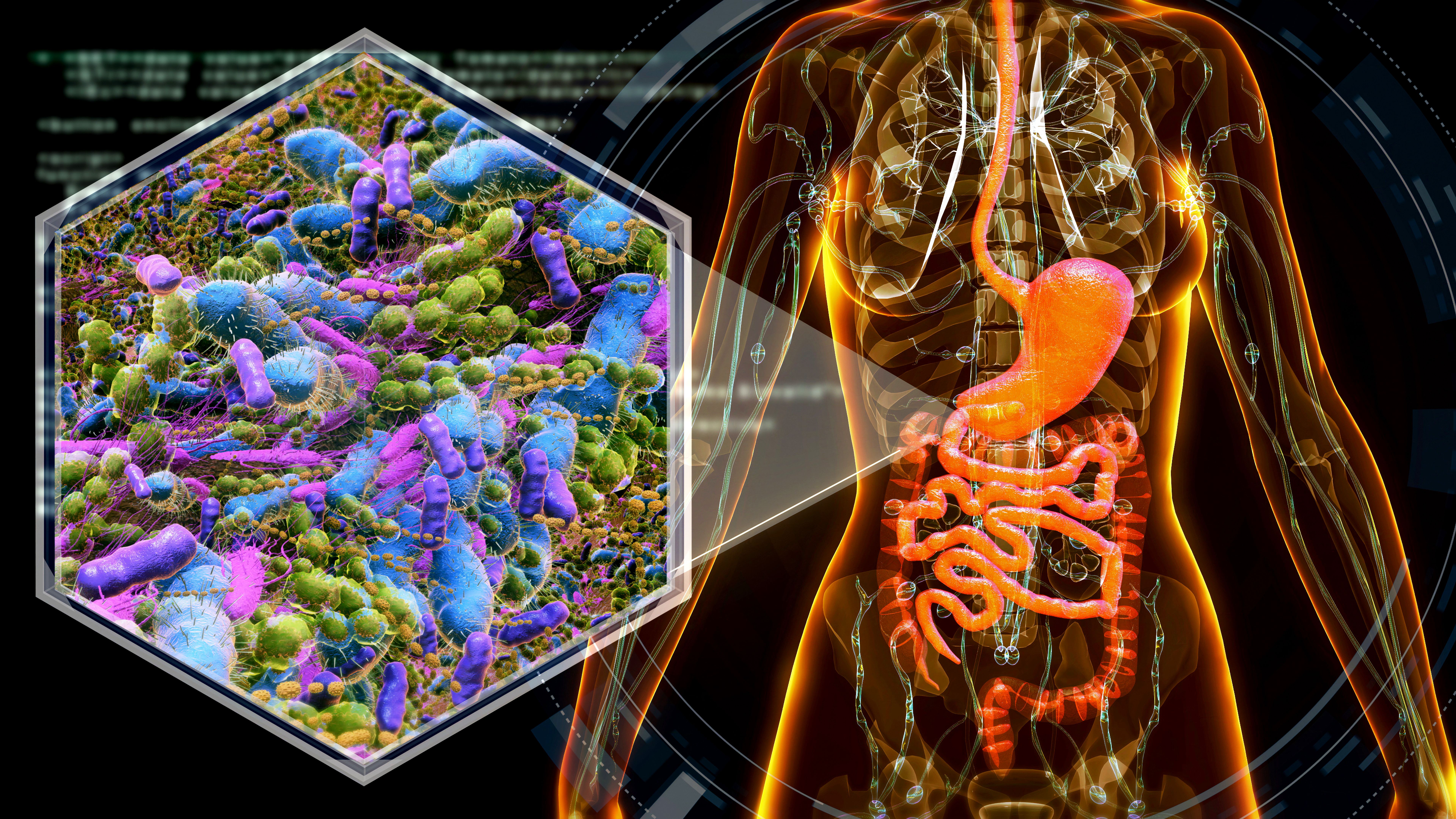 female anatomy with digestive system and bacteria.