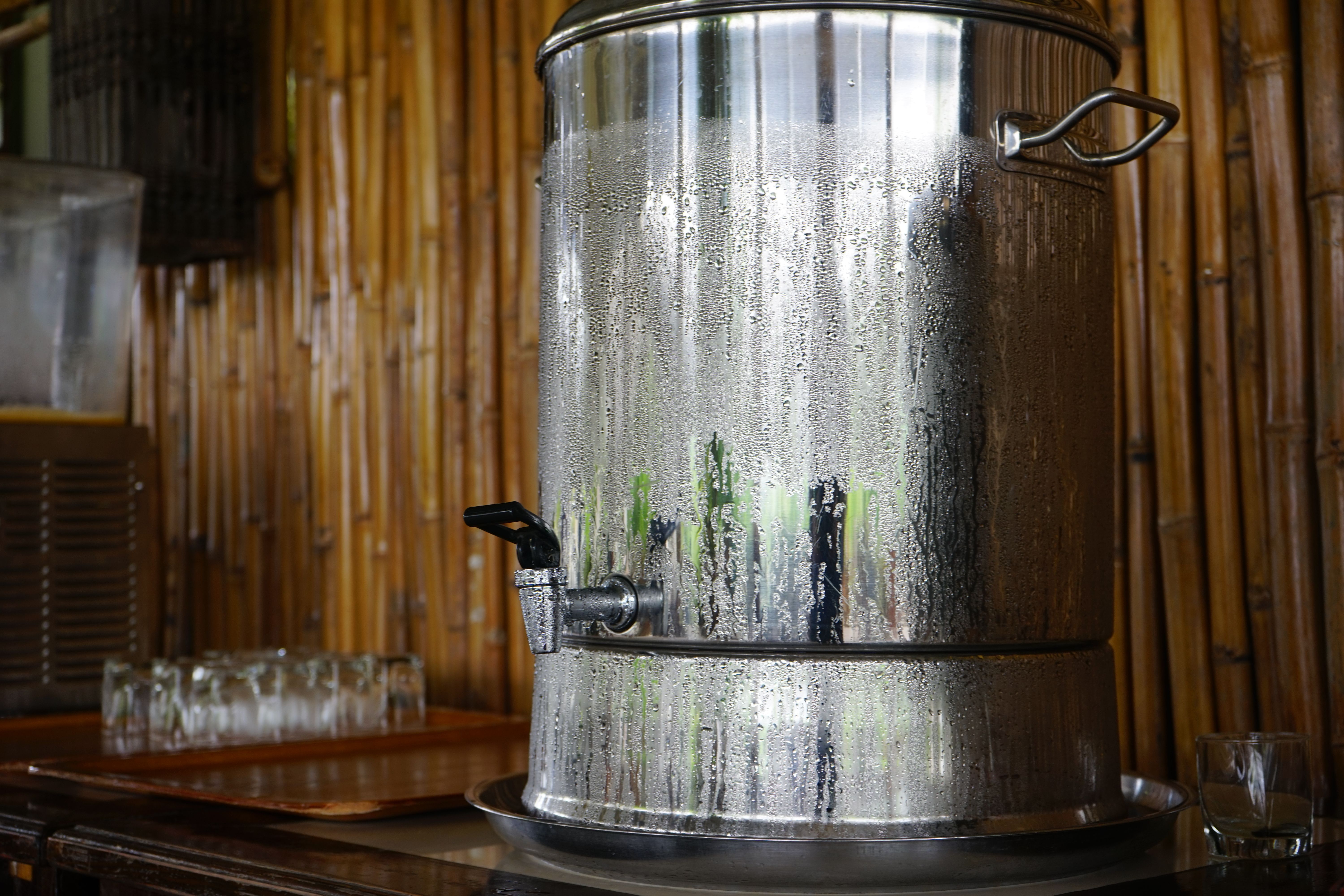 experimenting with sake
