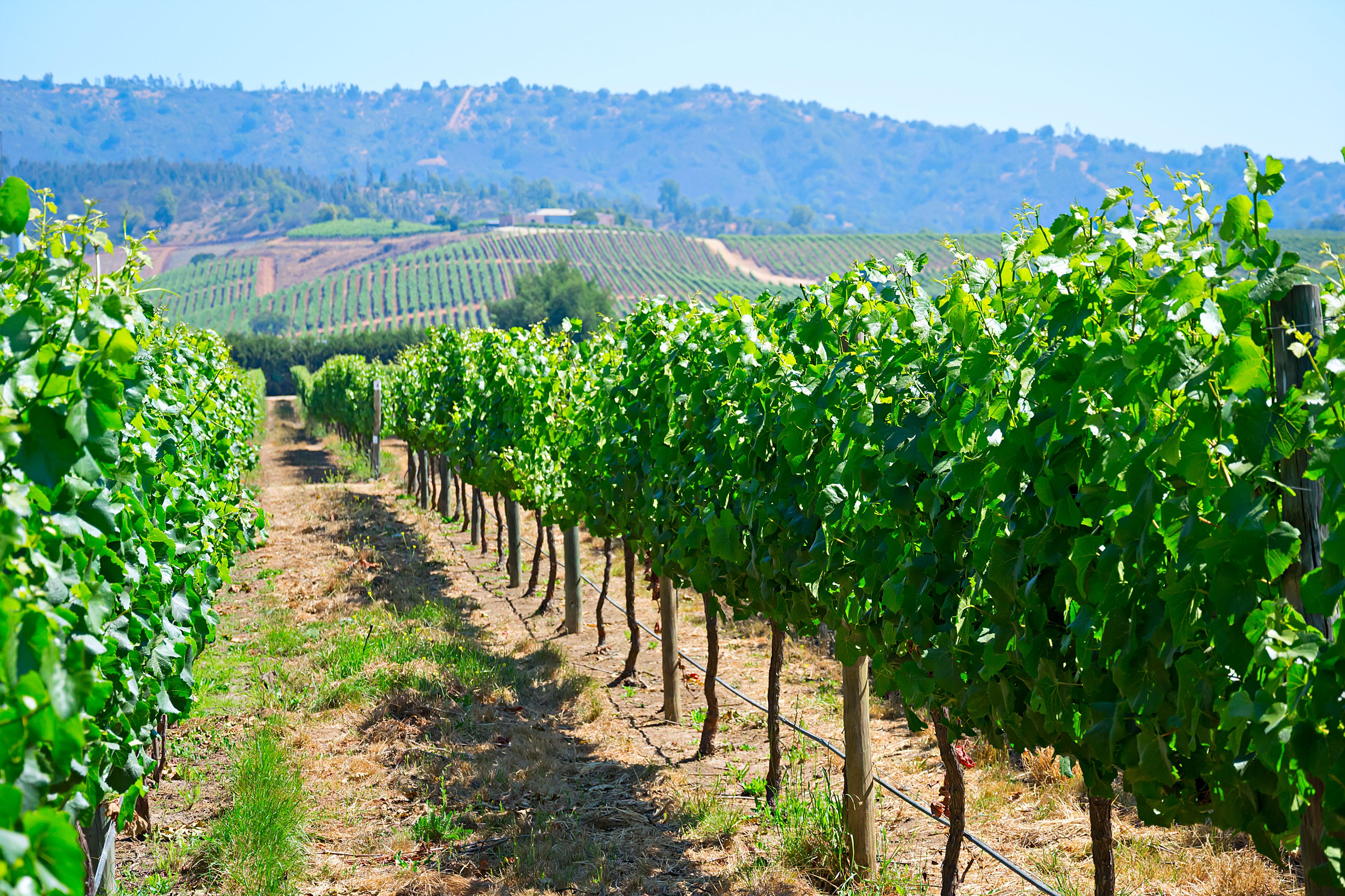 workplace Casablanca