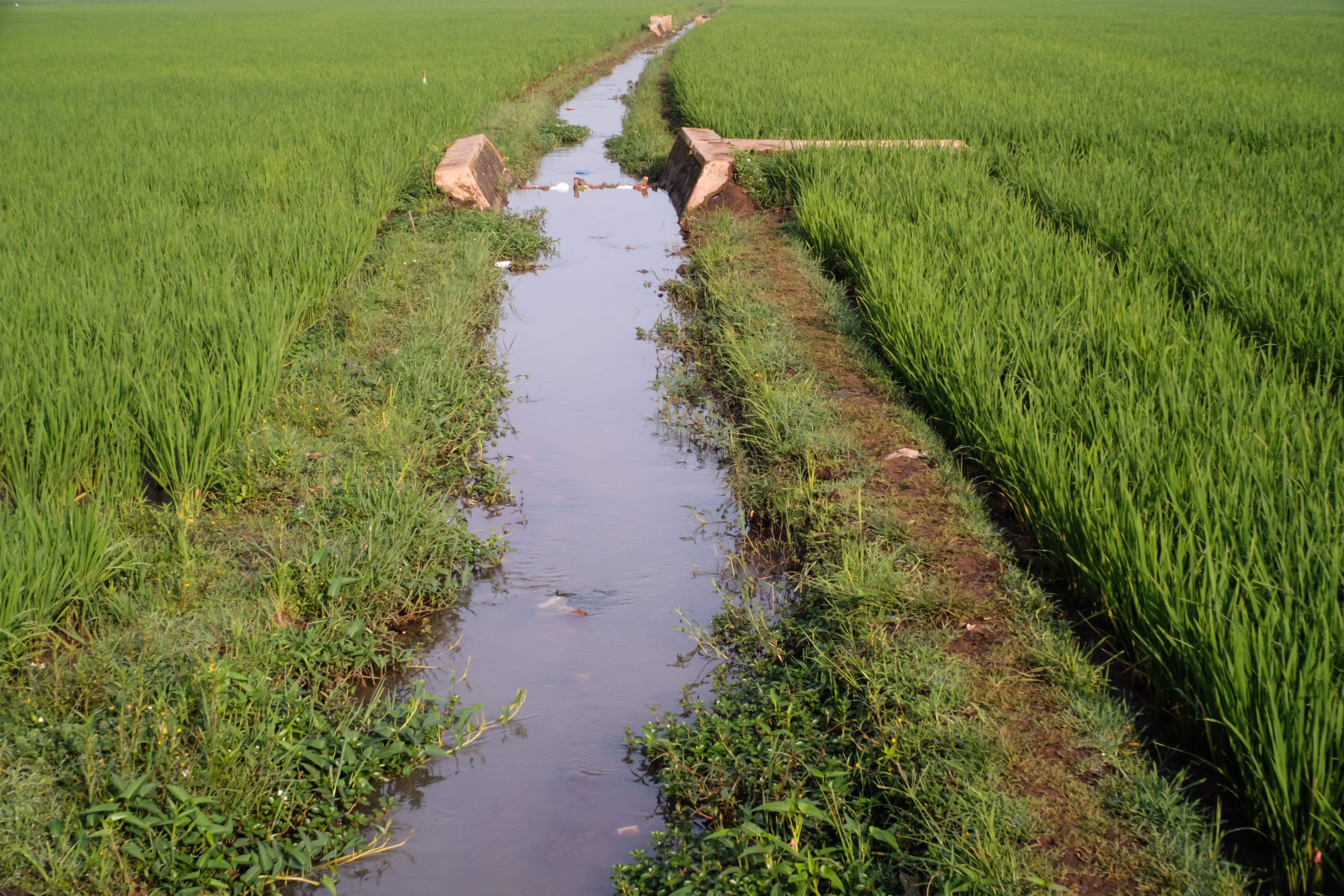 farm drainage