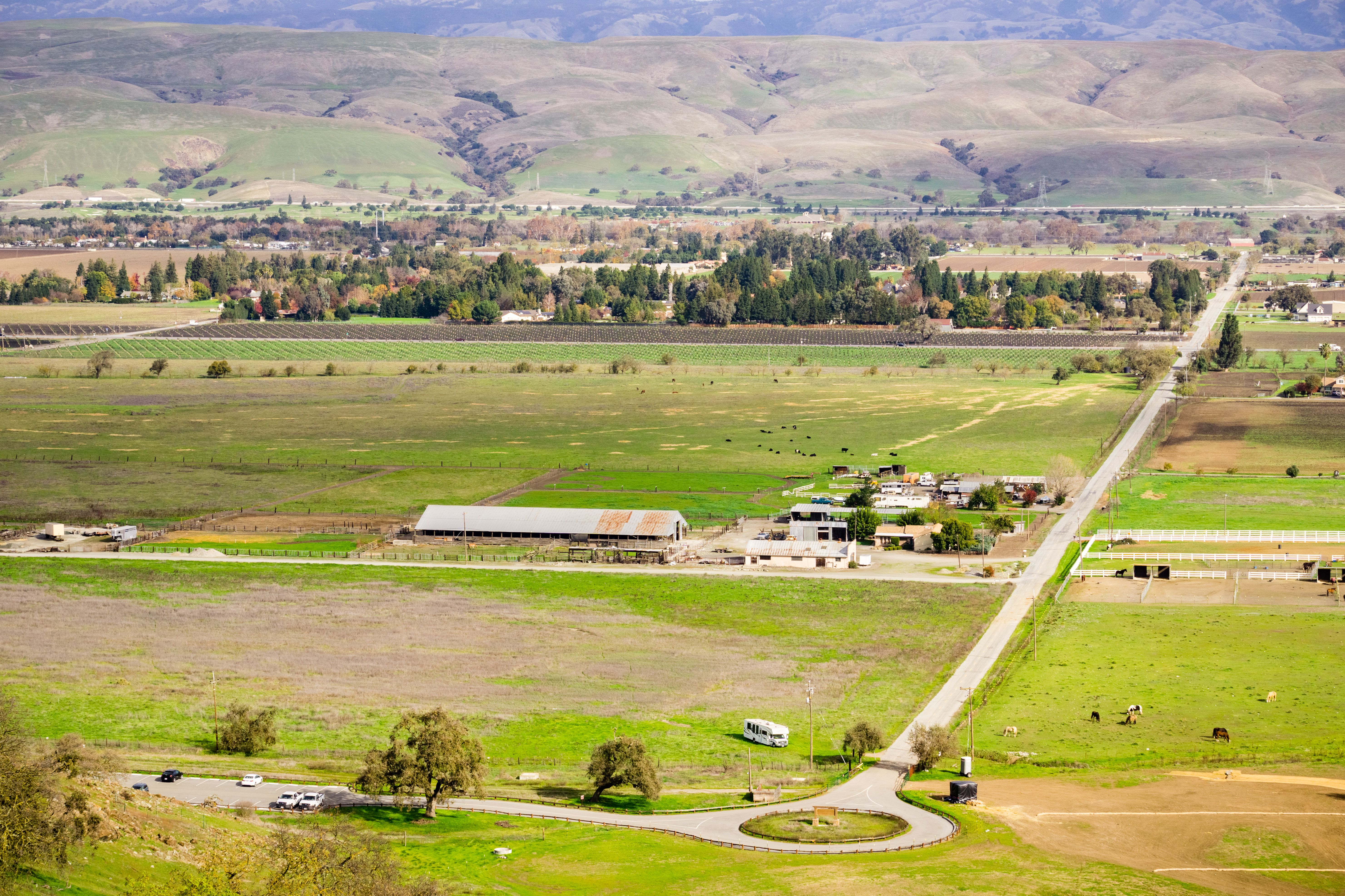 morgan hill farms