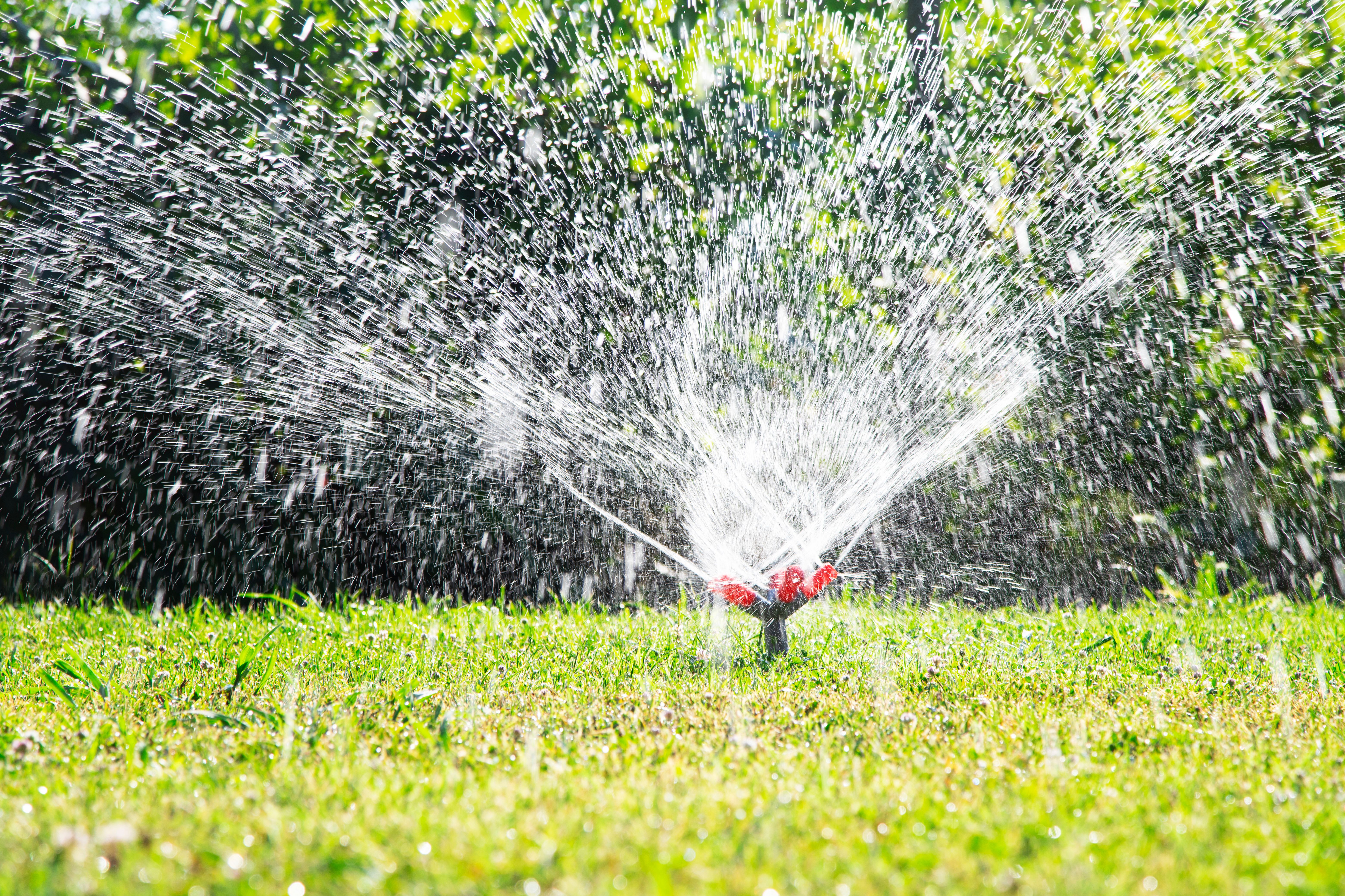 sprinkler watering lawn