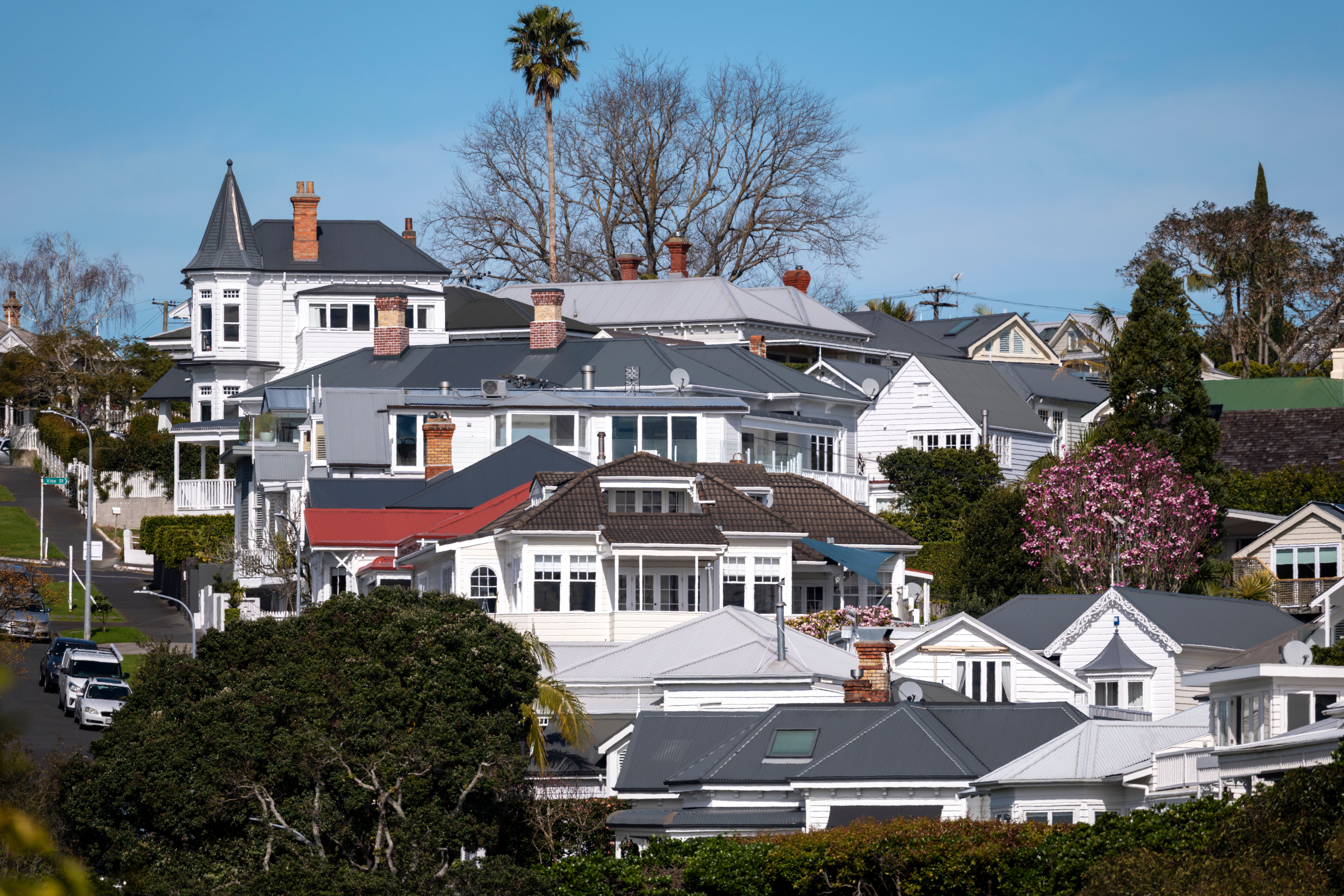 auckland housing