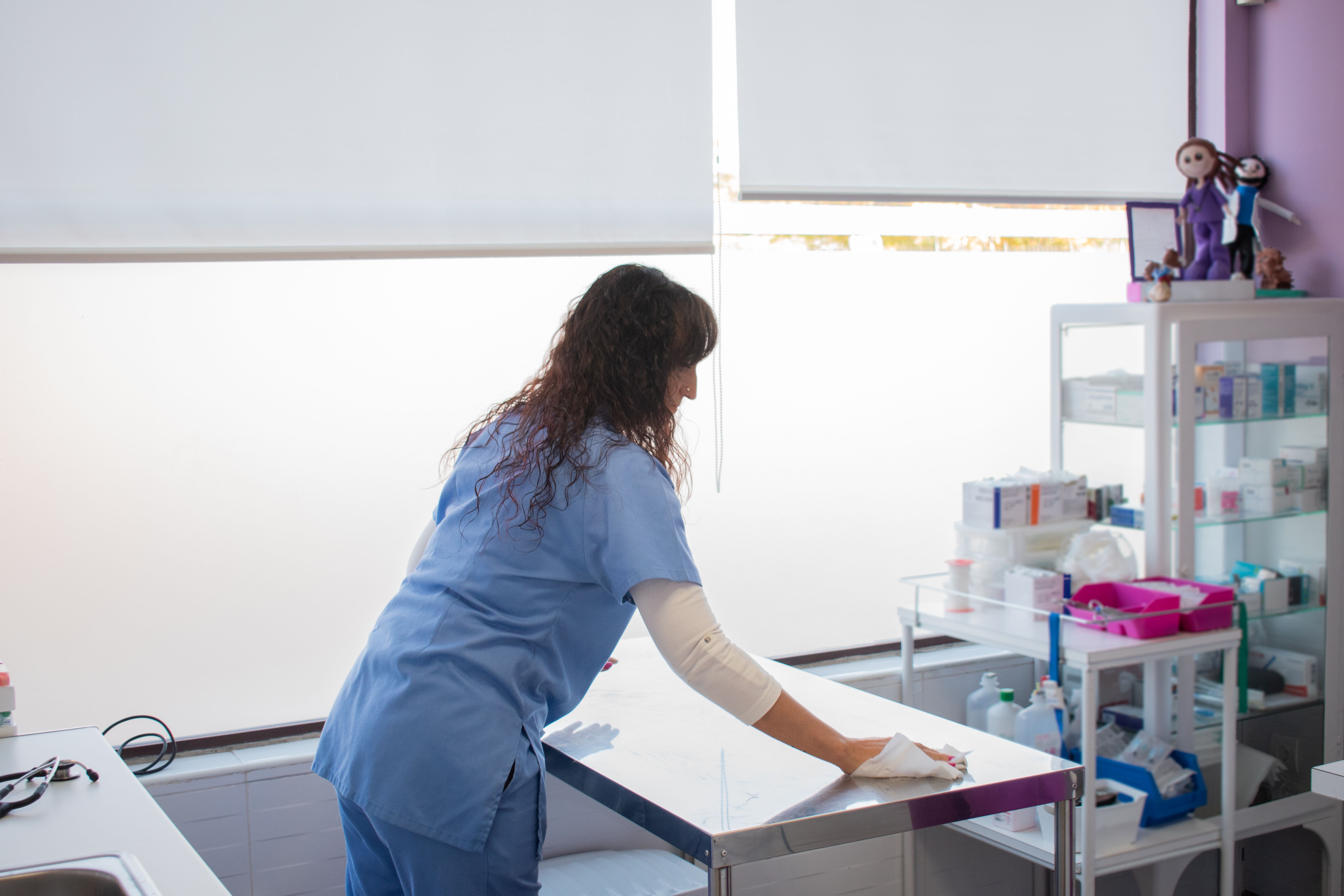 veterinary cleaning