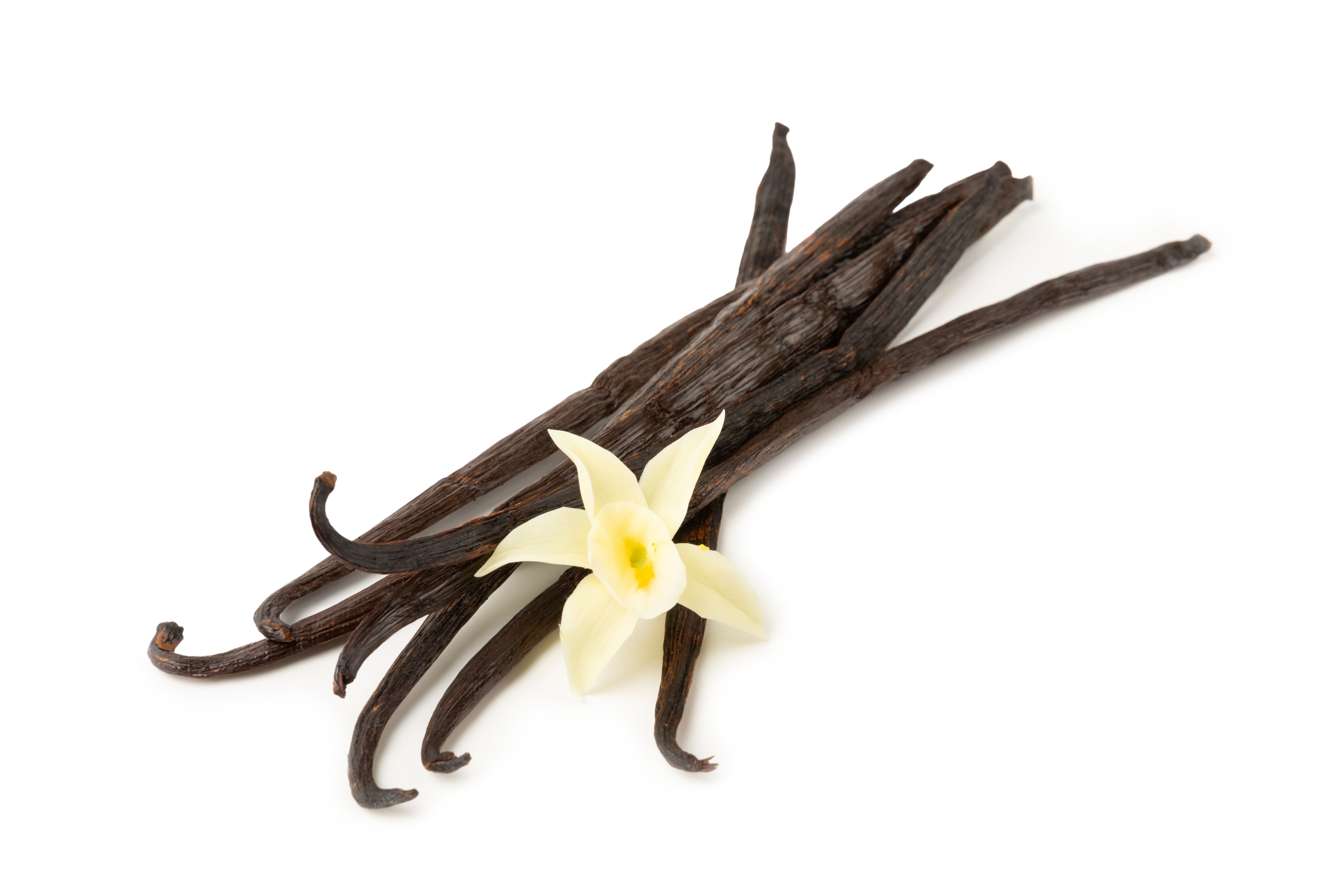 vanilla extract
