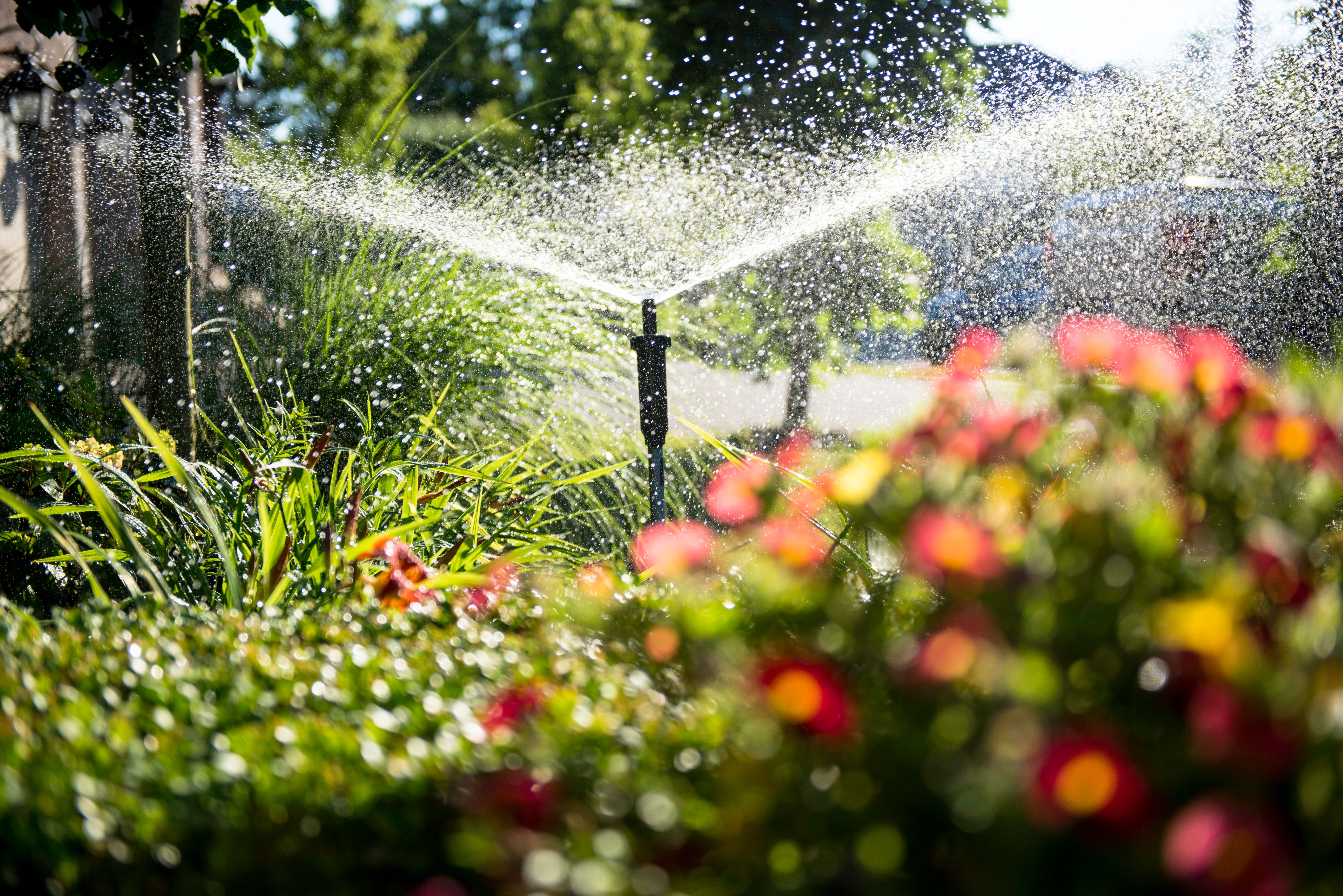 lawn watering