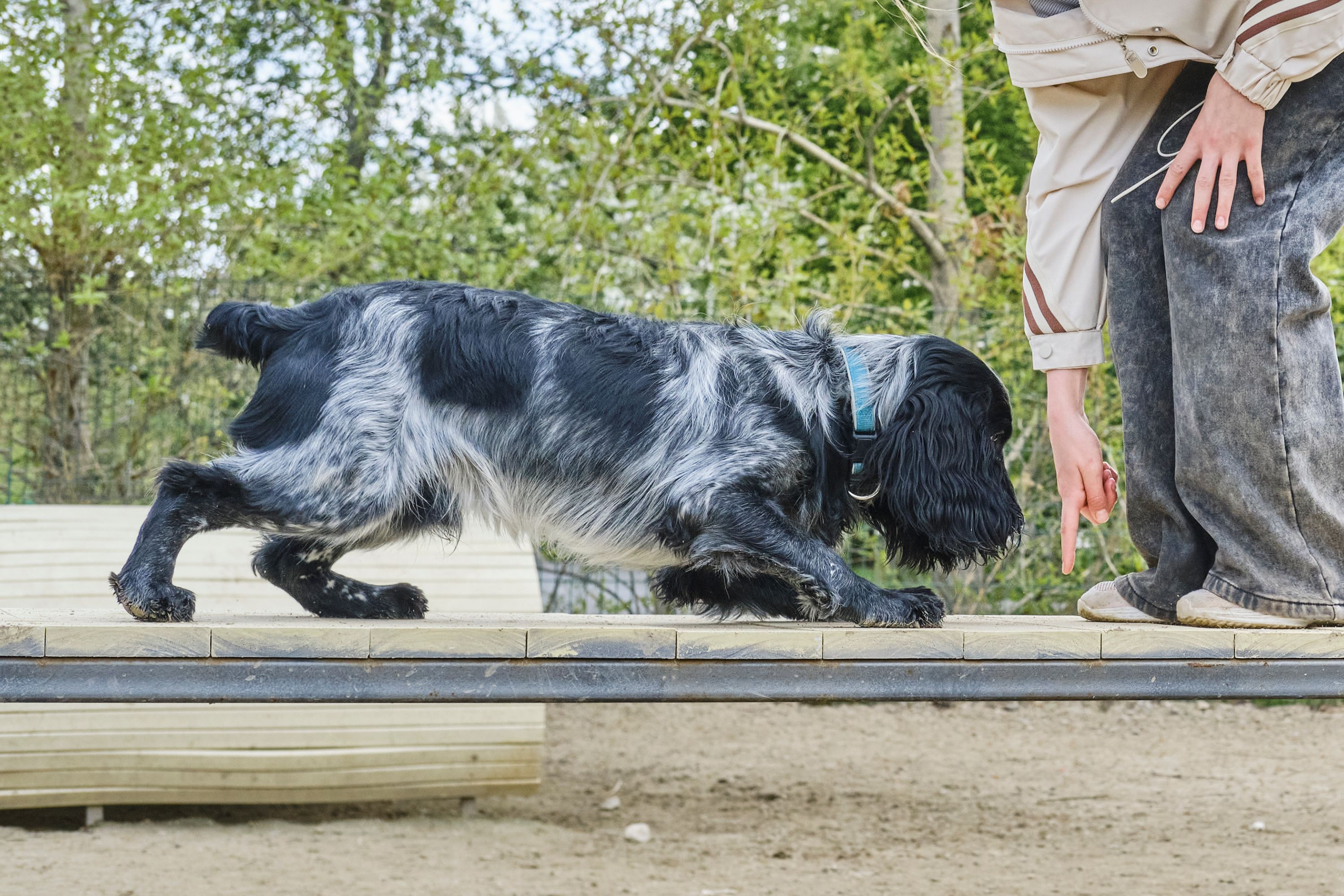 training development