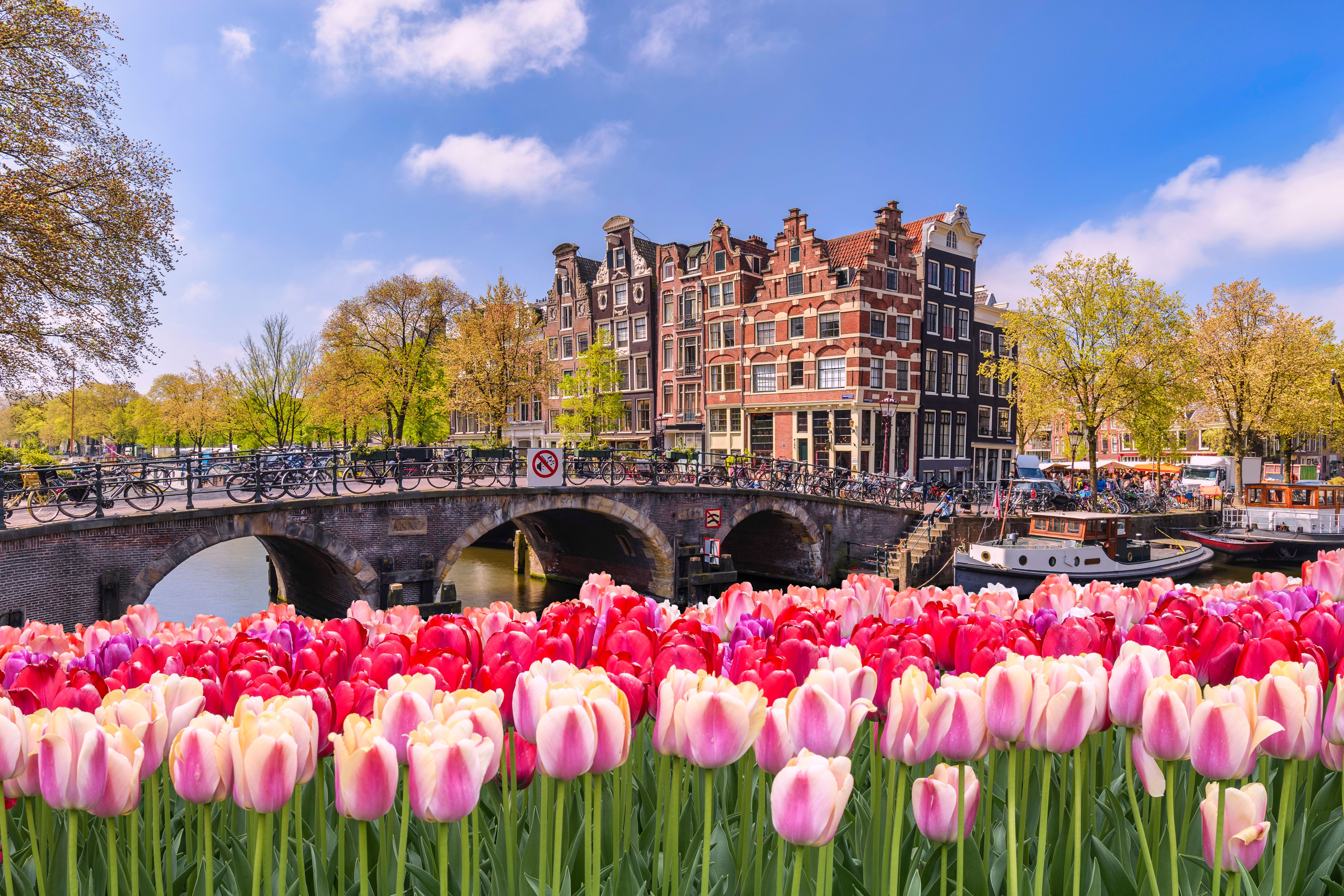 amsterdam flowers