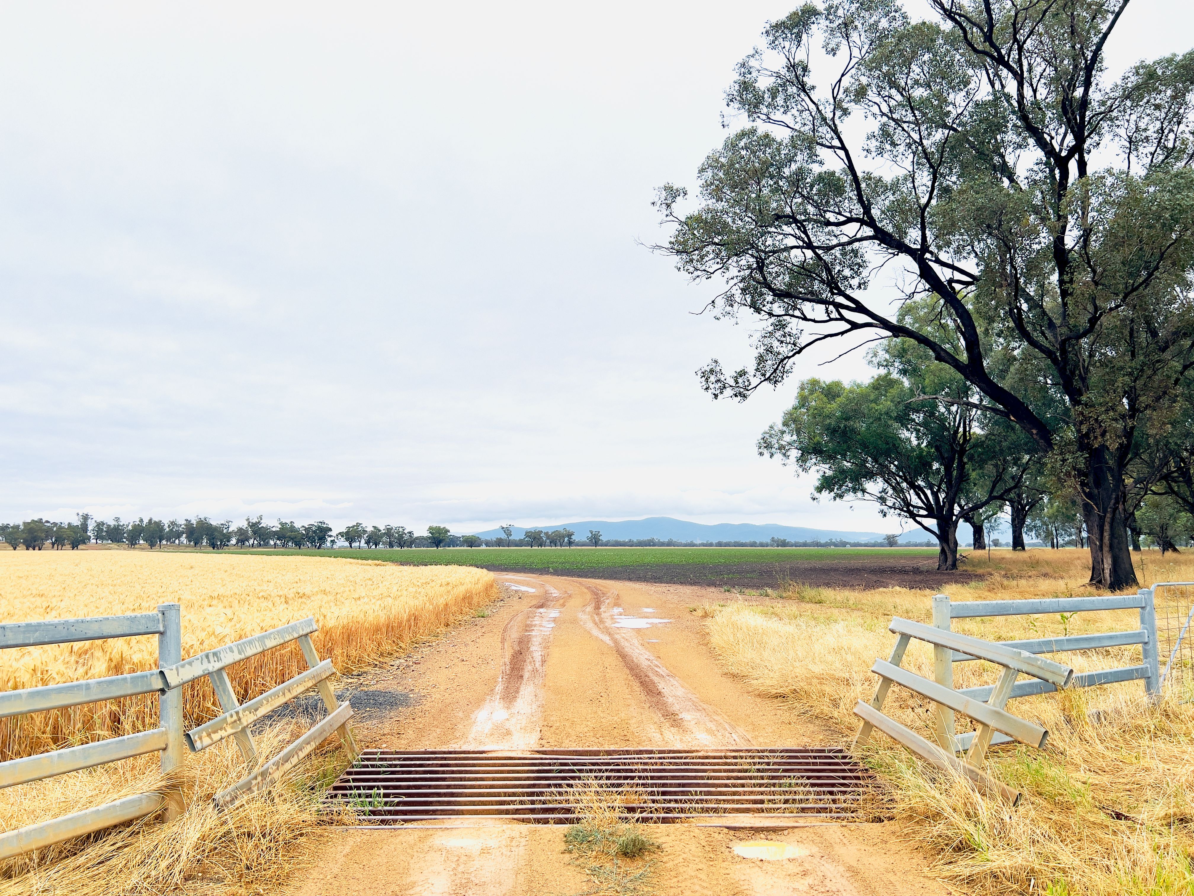 buying land Australia