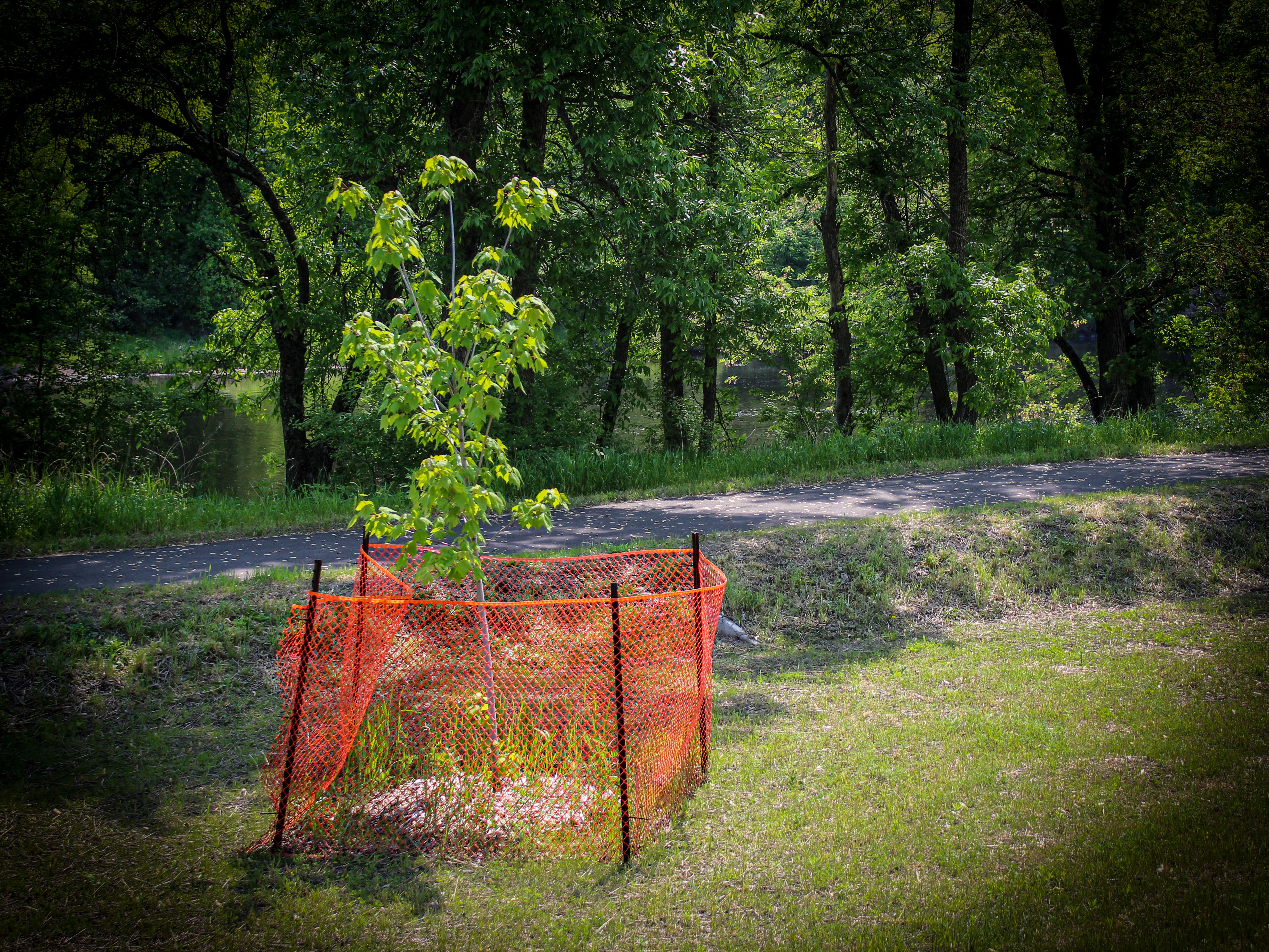 landscaping preservation