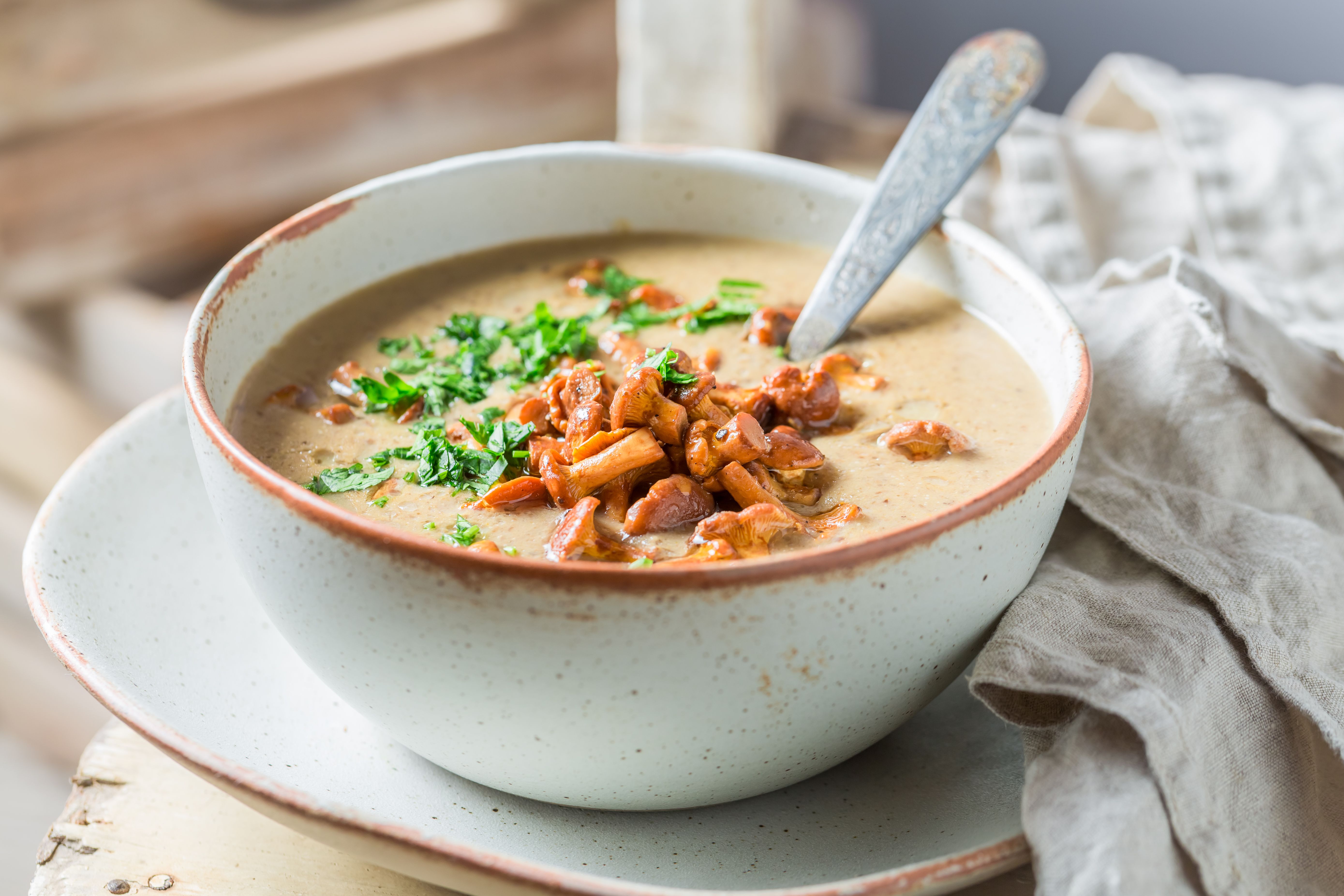 chanterelle mushroom soup