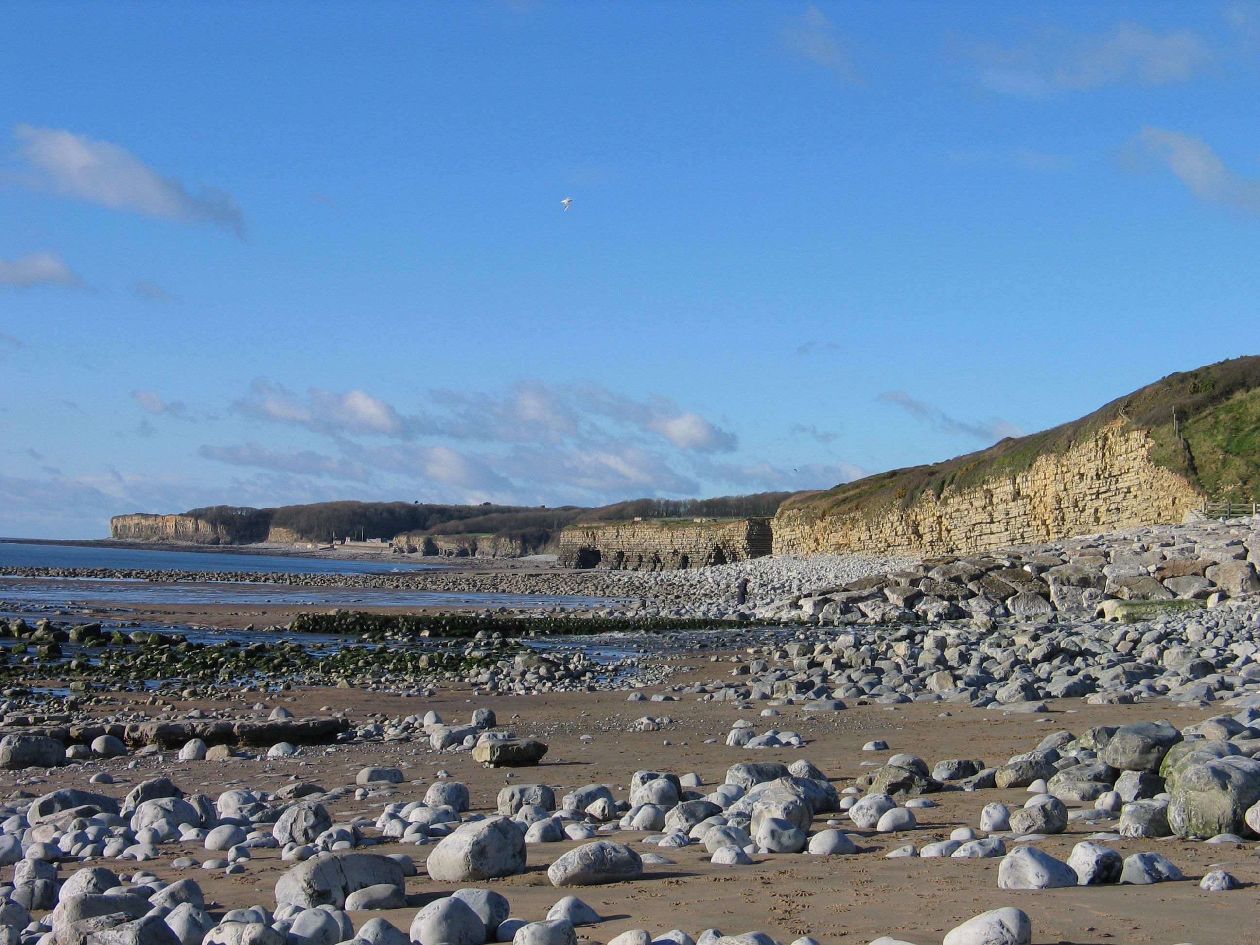 artificial intelligence Walton County