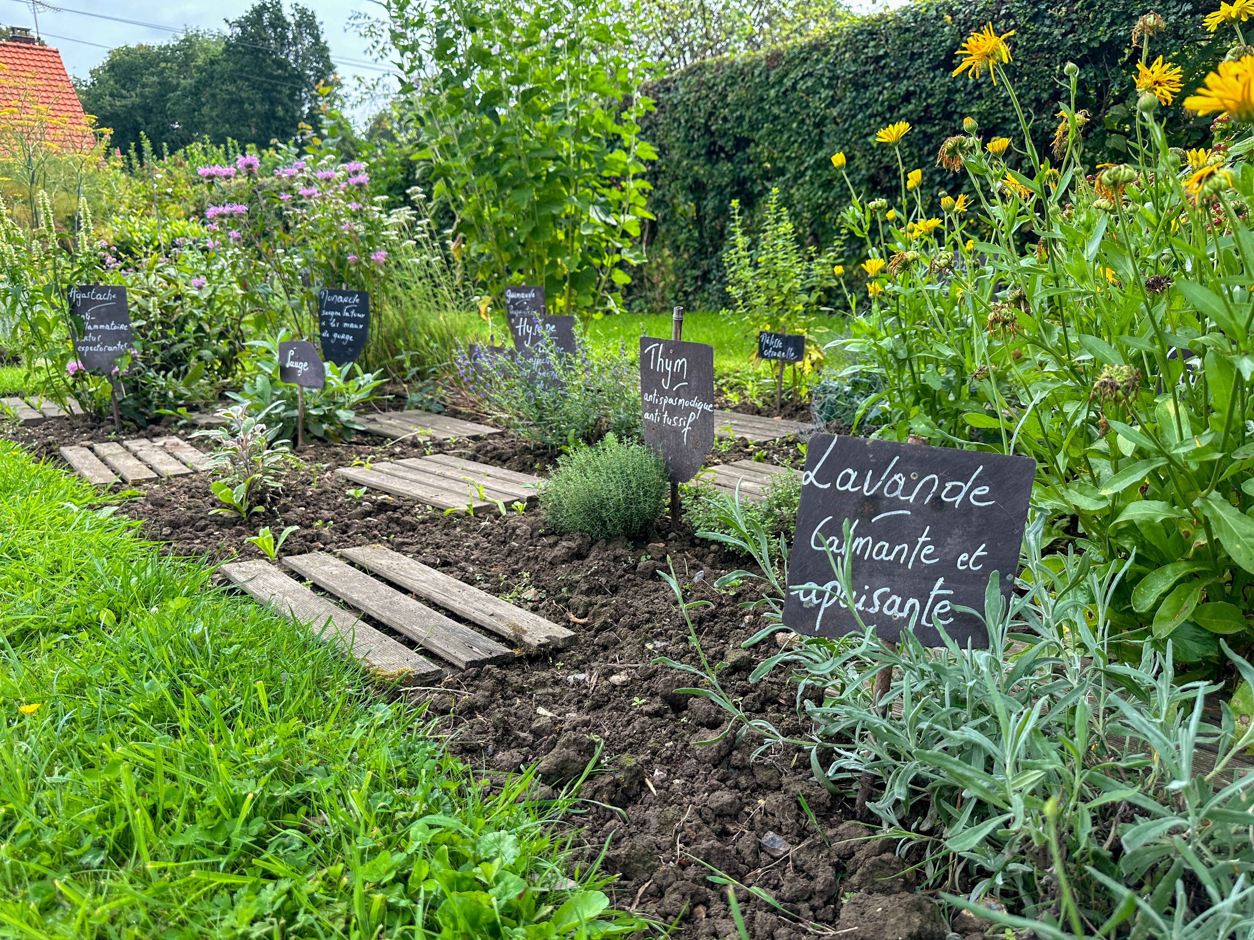 herb garden
