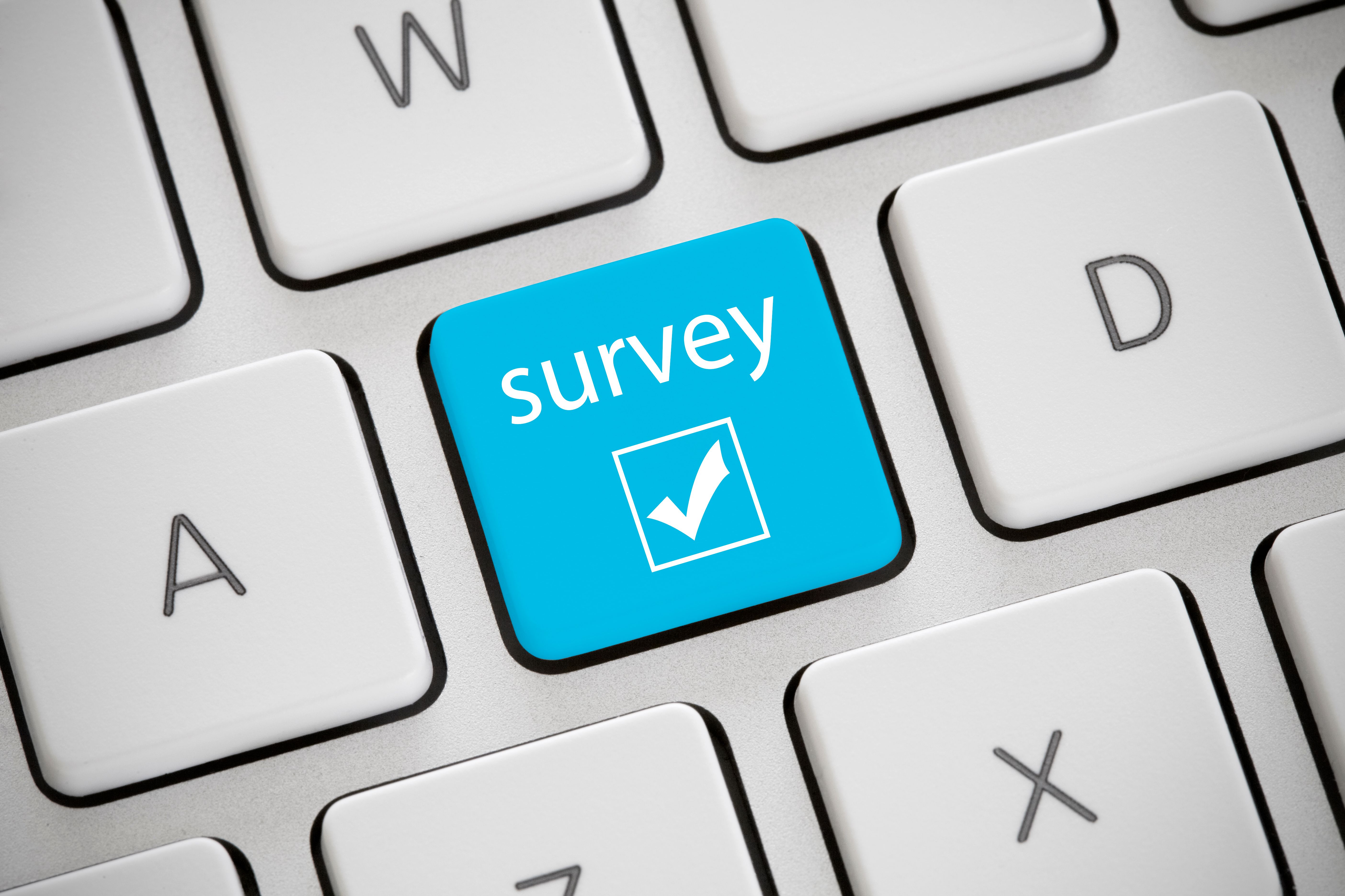 online surveys