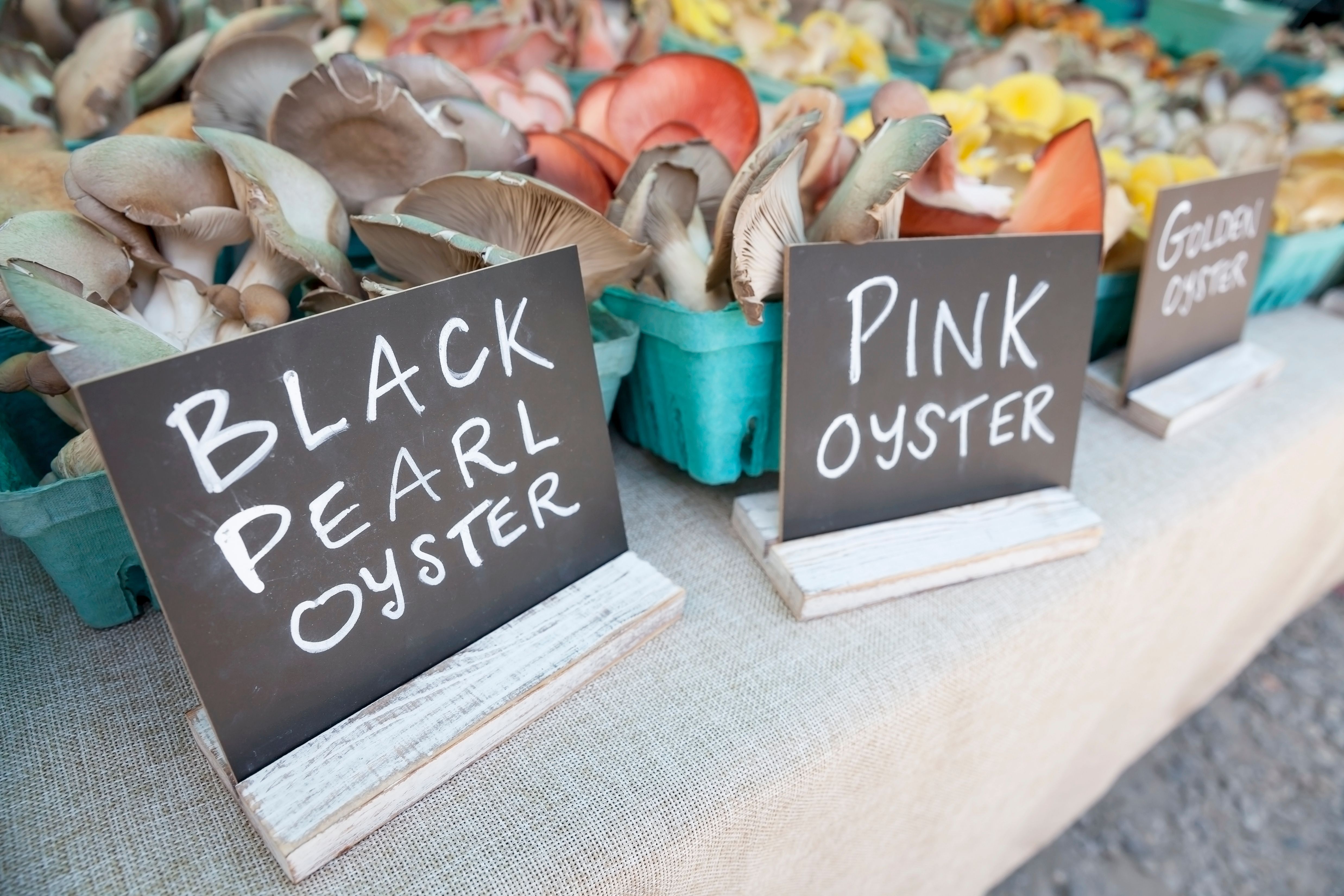 local market mushrooms