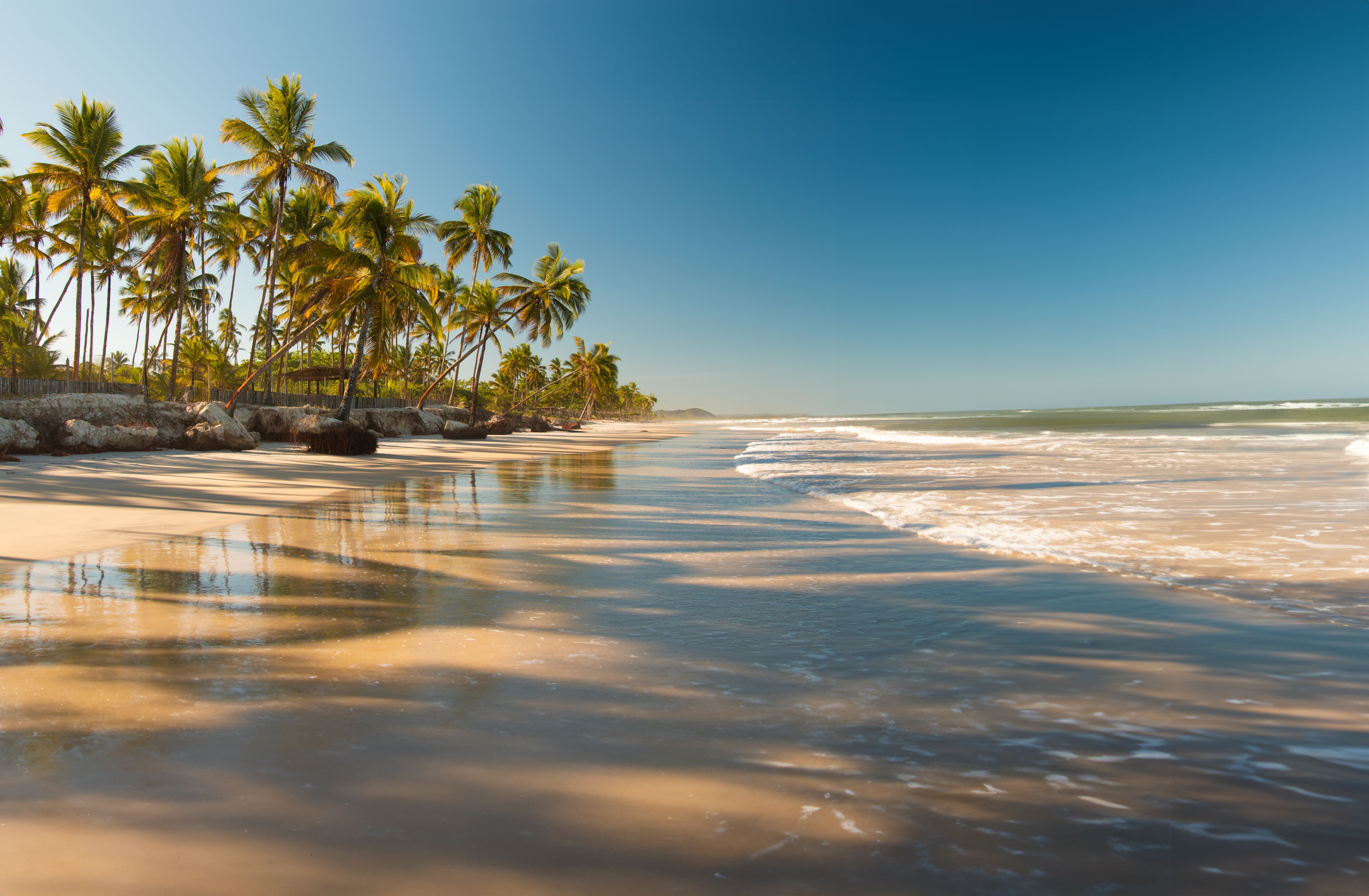 beach landscape