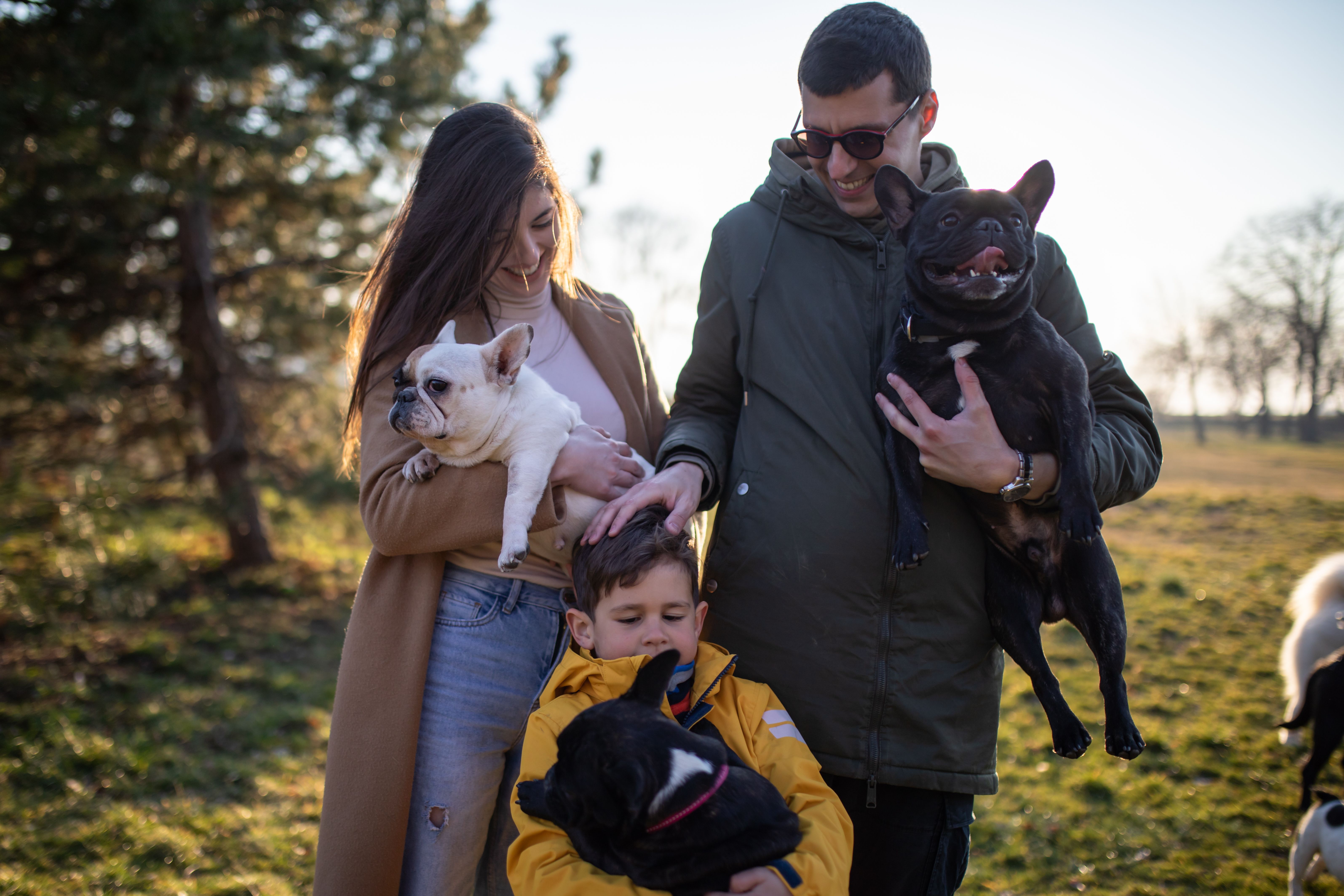 A young happy family with dogs A young happy family with dogs