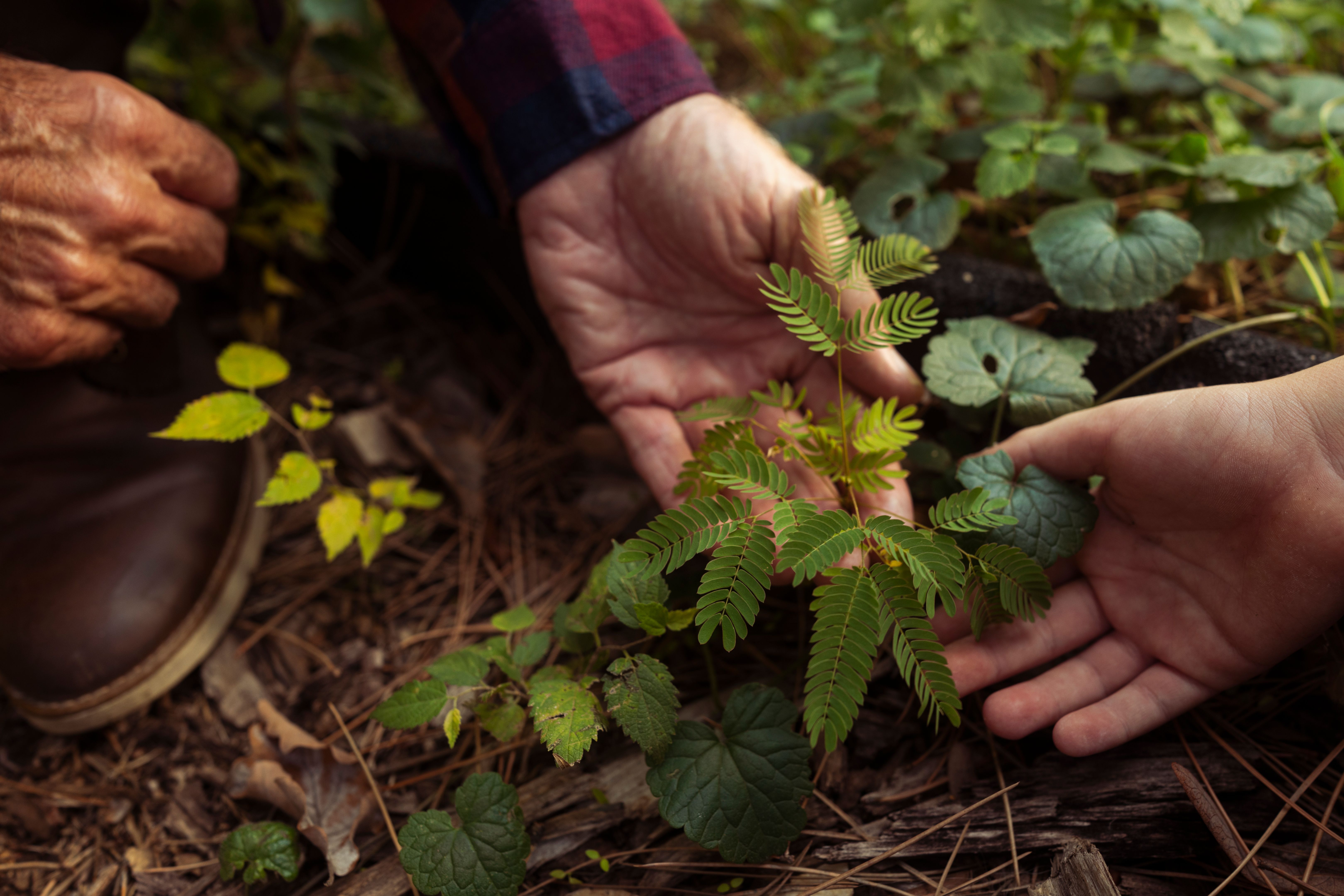 agriculture education