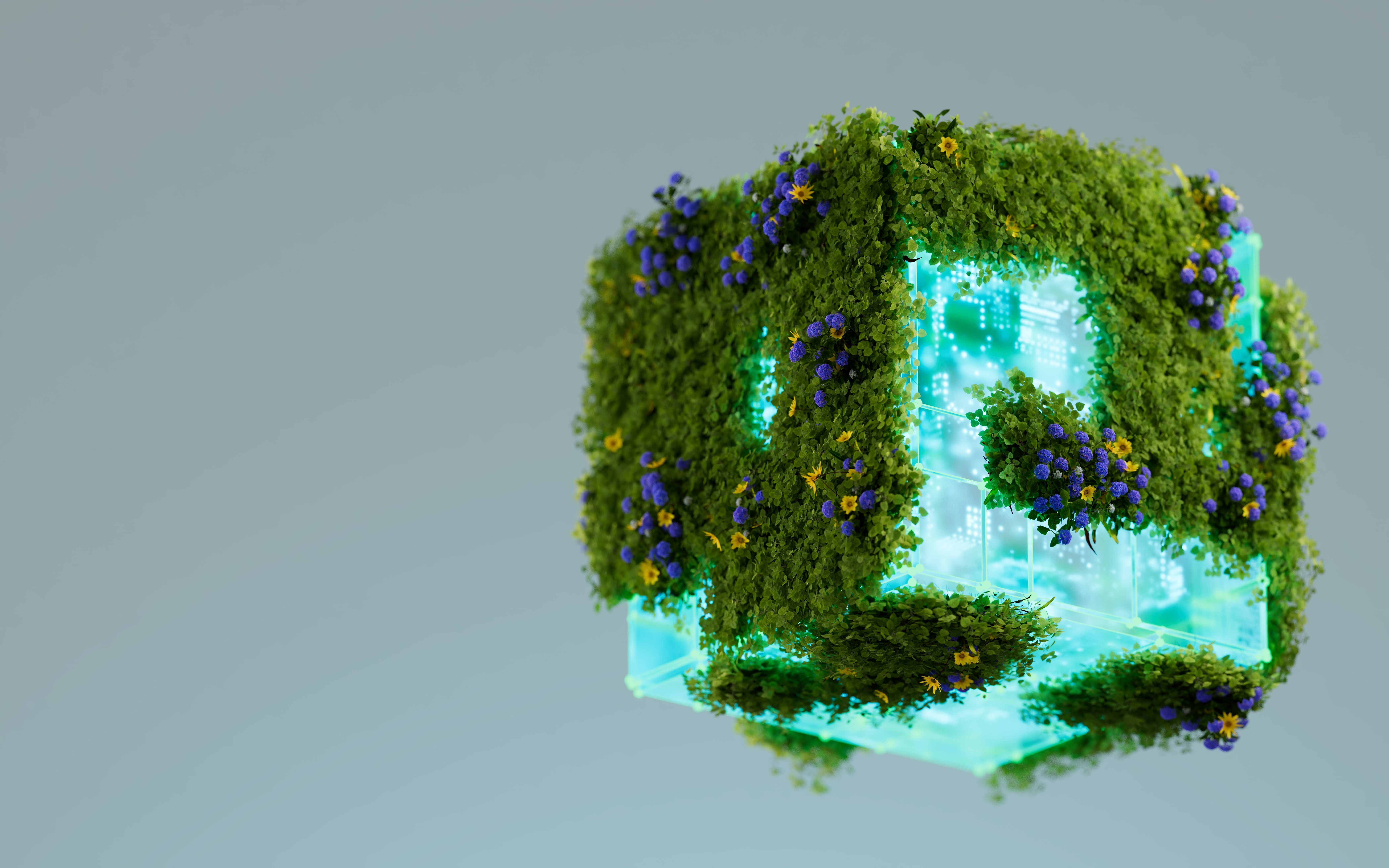 renewable energy policy