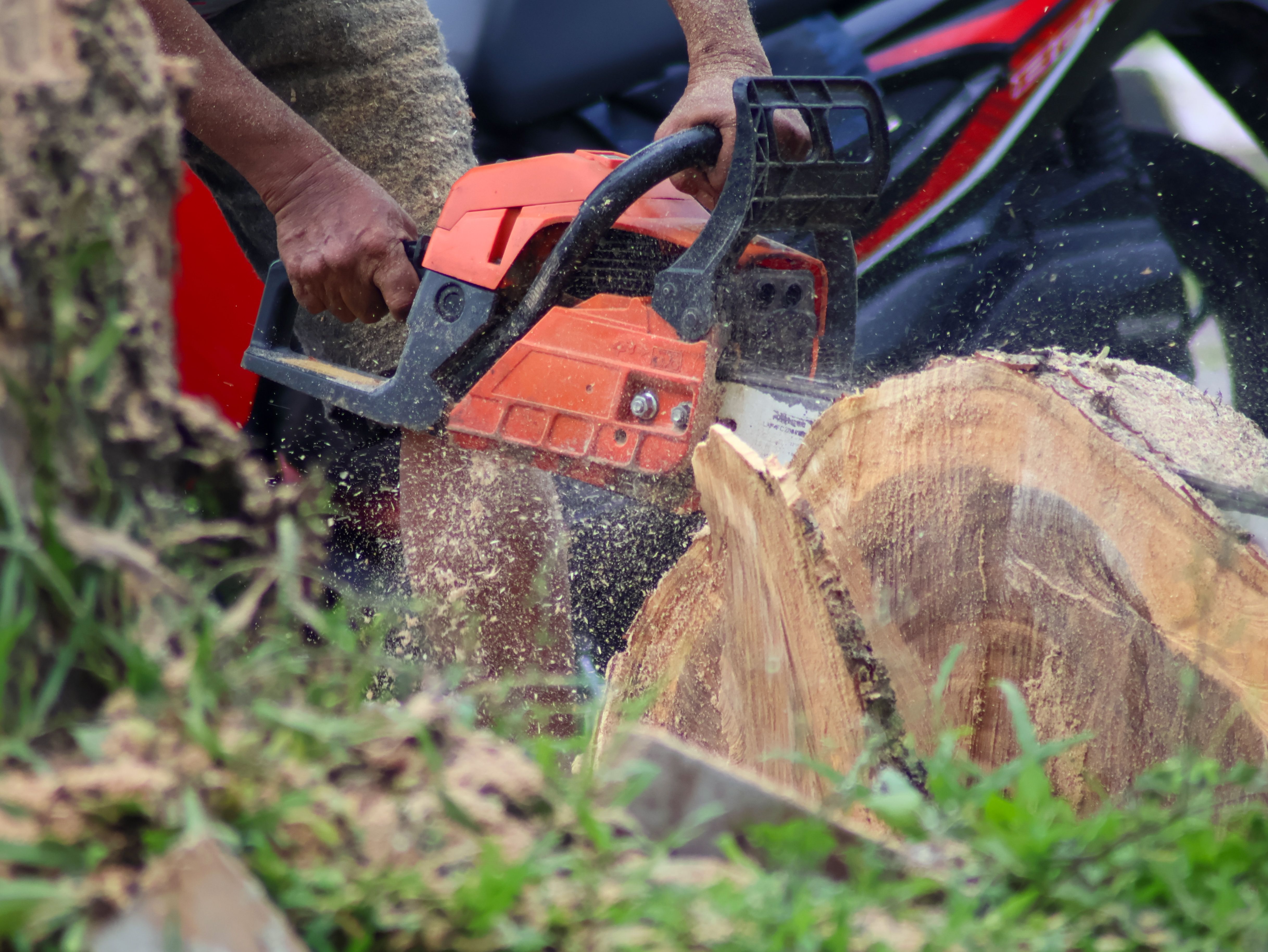 tree removal equipment