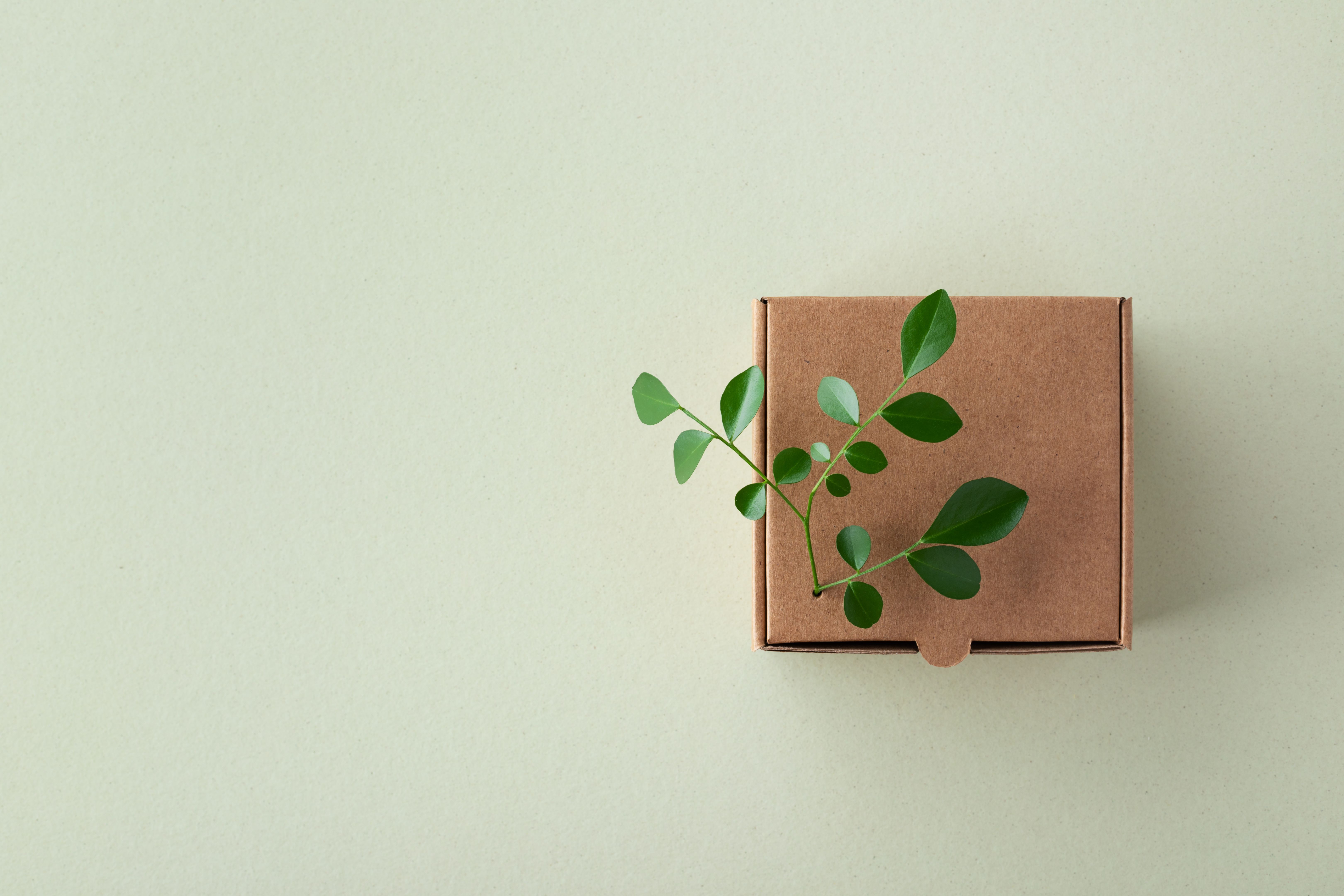 eco-friendly packaging