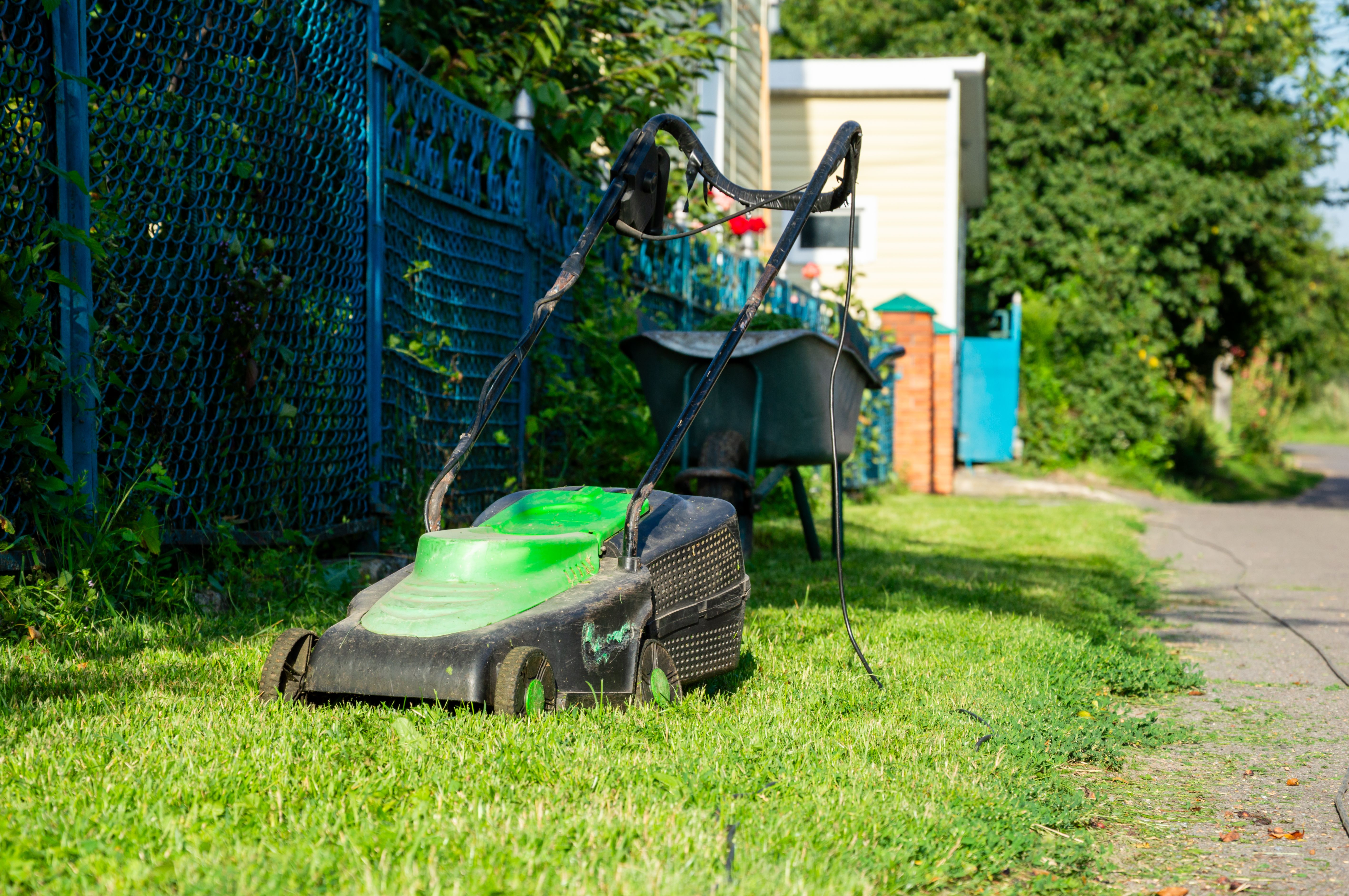 well-maintained lawn