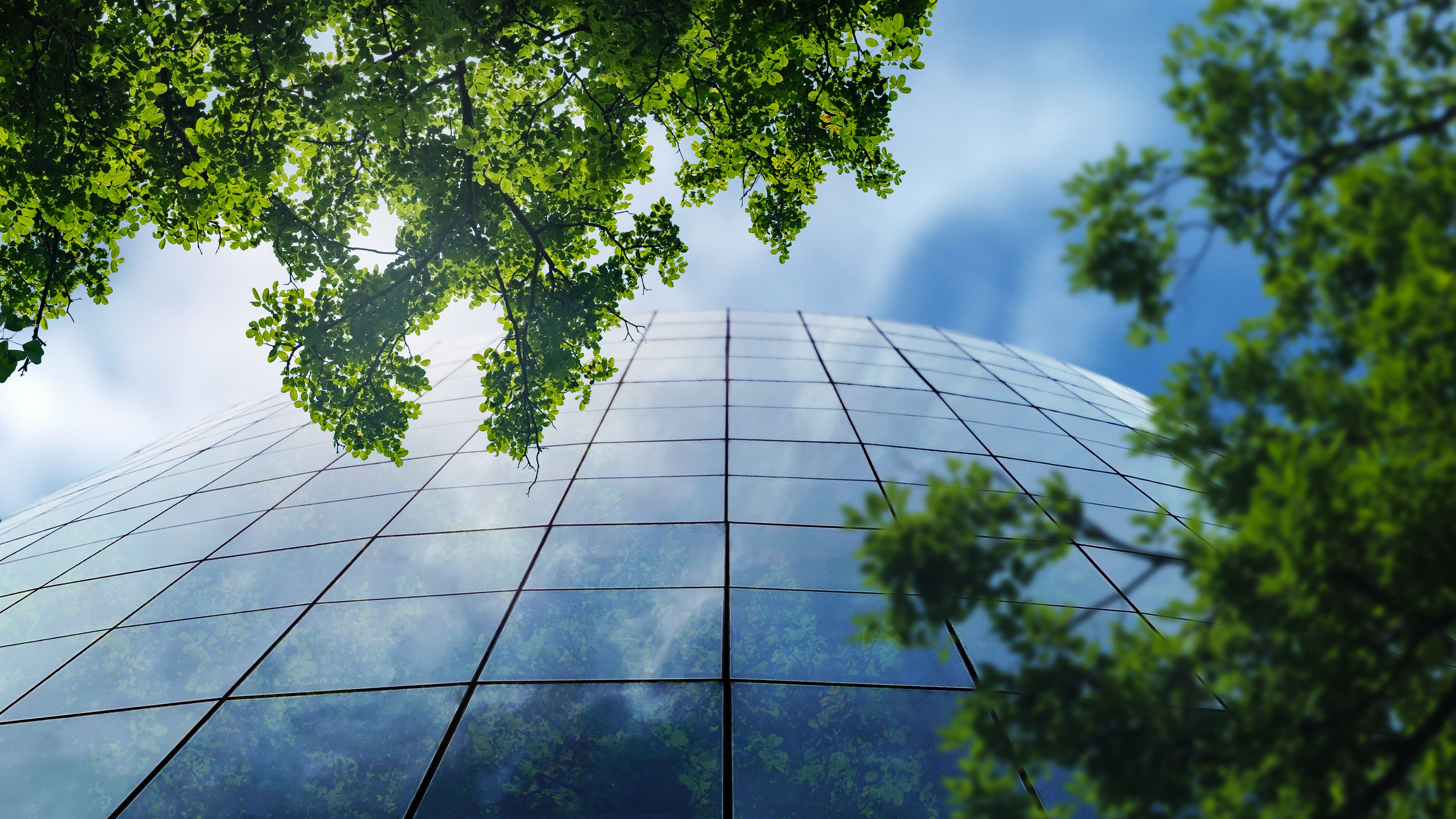 sustainable building