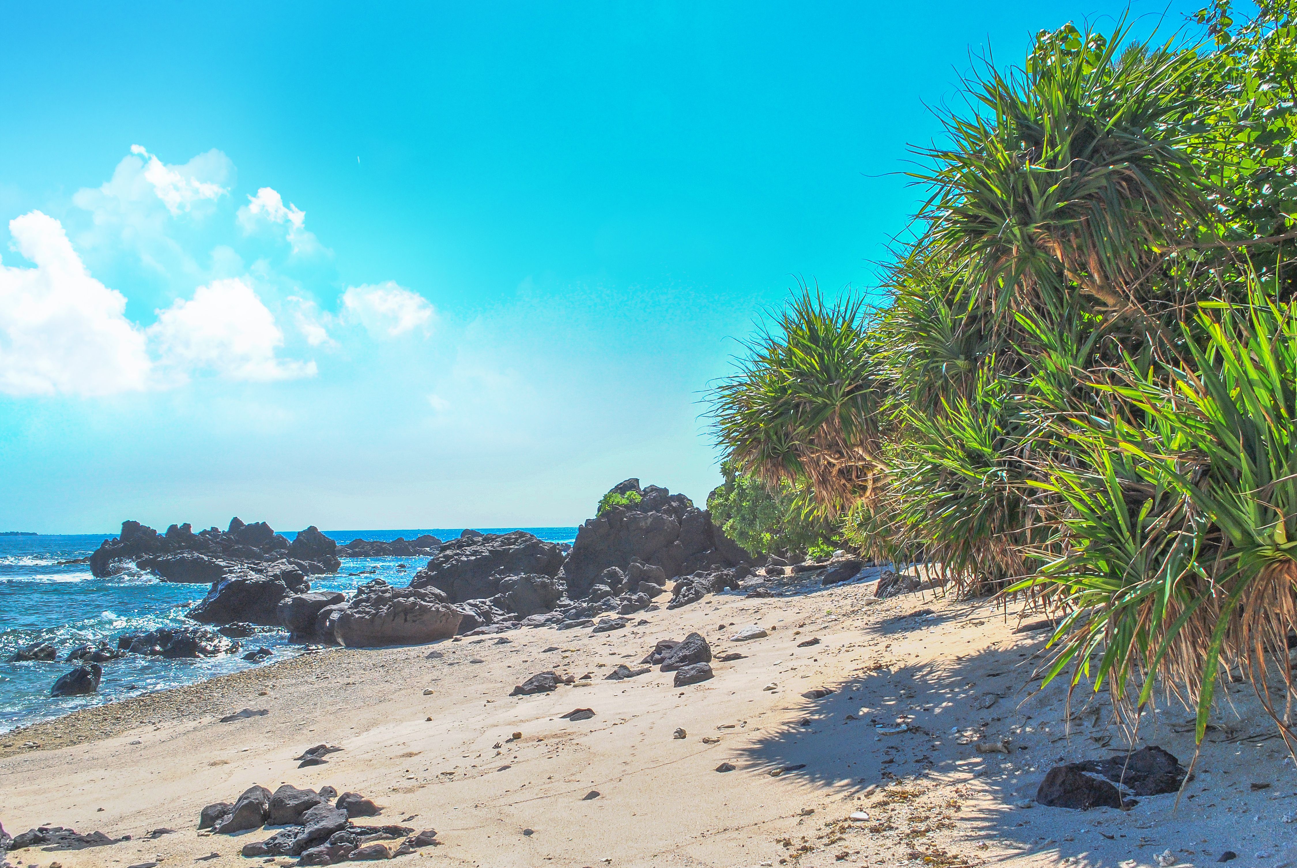 Beautiful landscape with rock and beach in Lyson or Ly Son island, Quang Ngai, Vietnam Beautiful landscape with rock and beach in Lyson or Ly Son island, Quang Ngai, Vietnam
