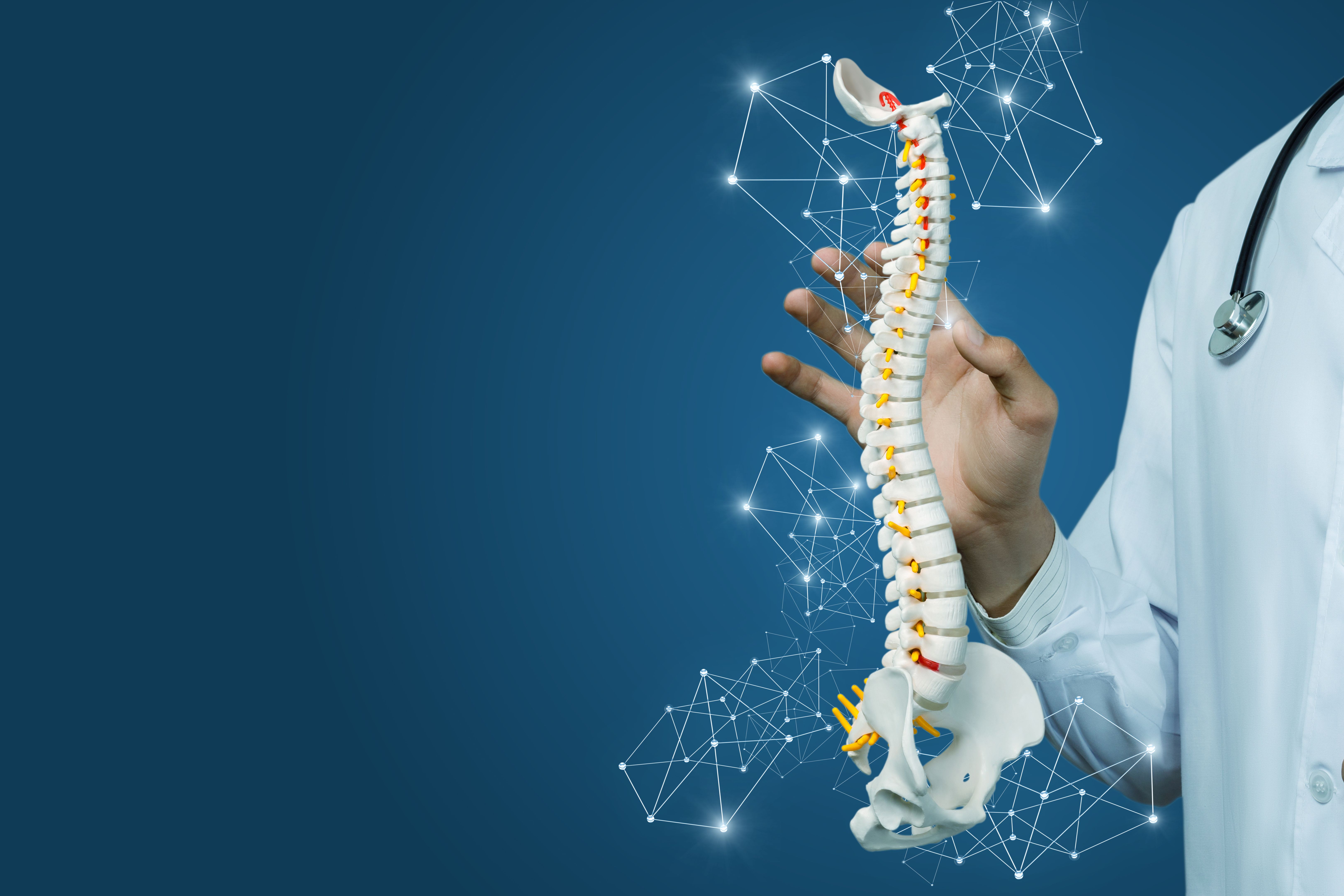 spinal health workshop