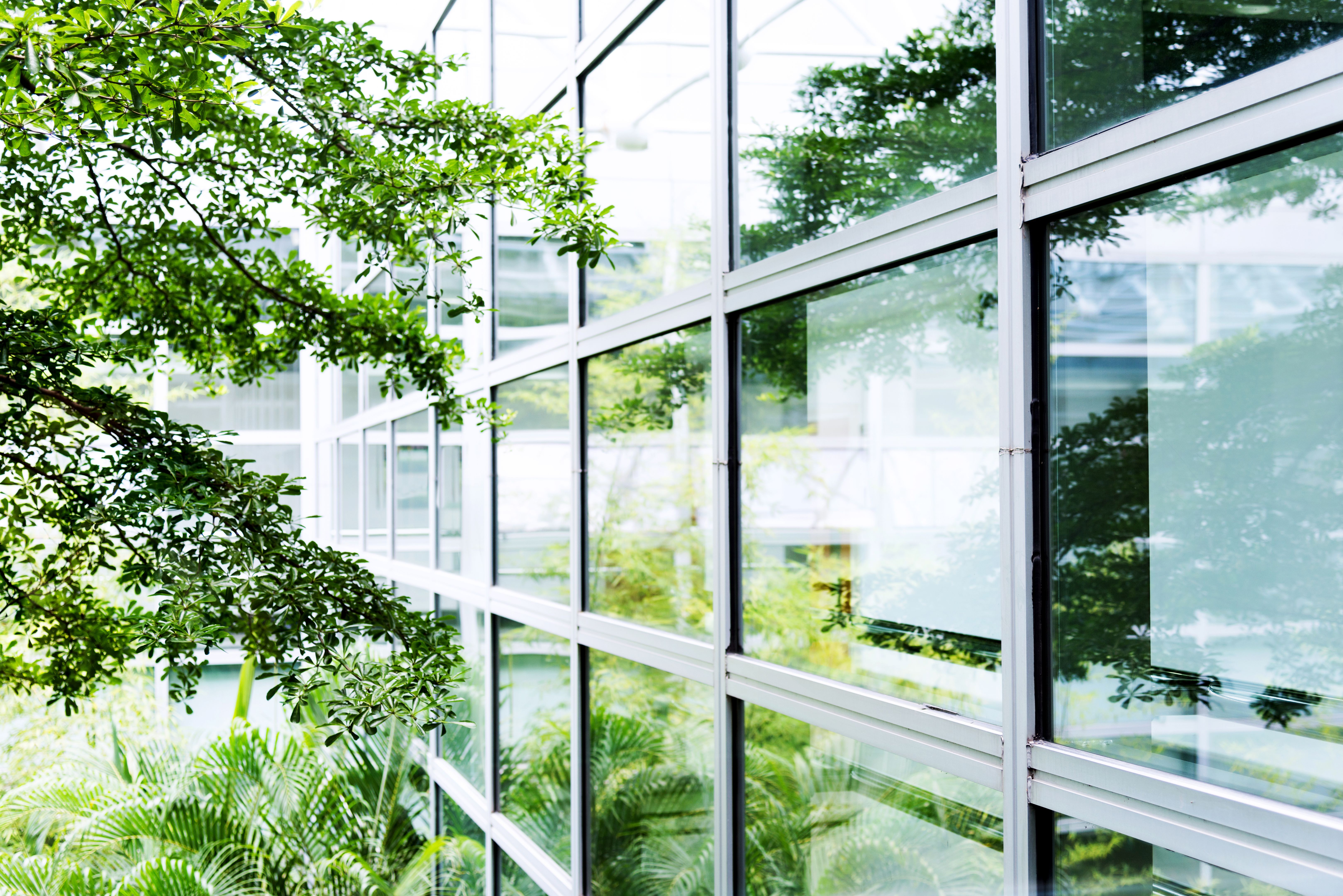 clean building facade