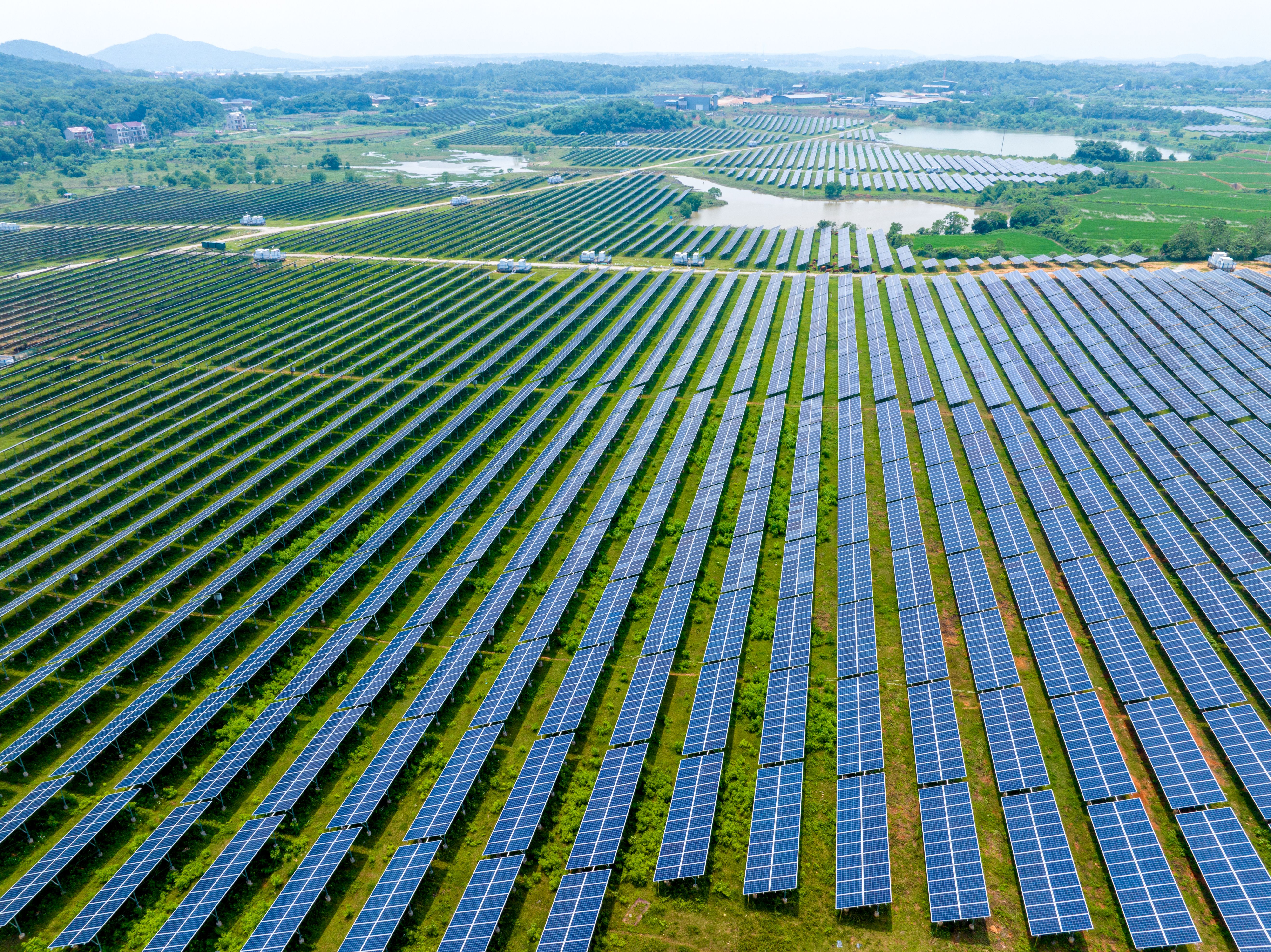 solar farm agriculture