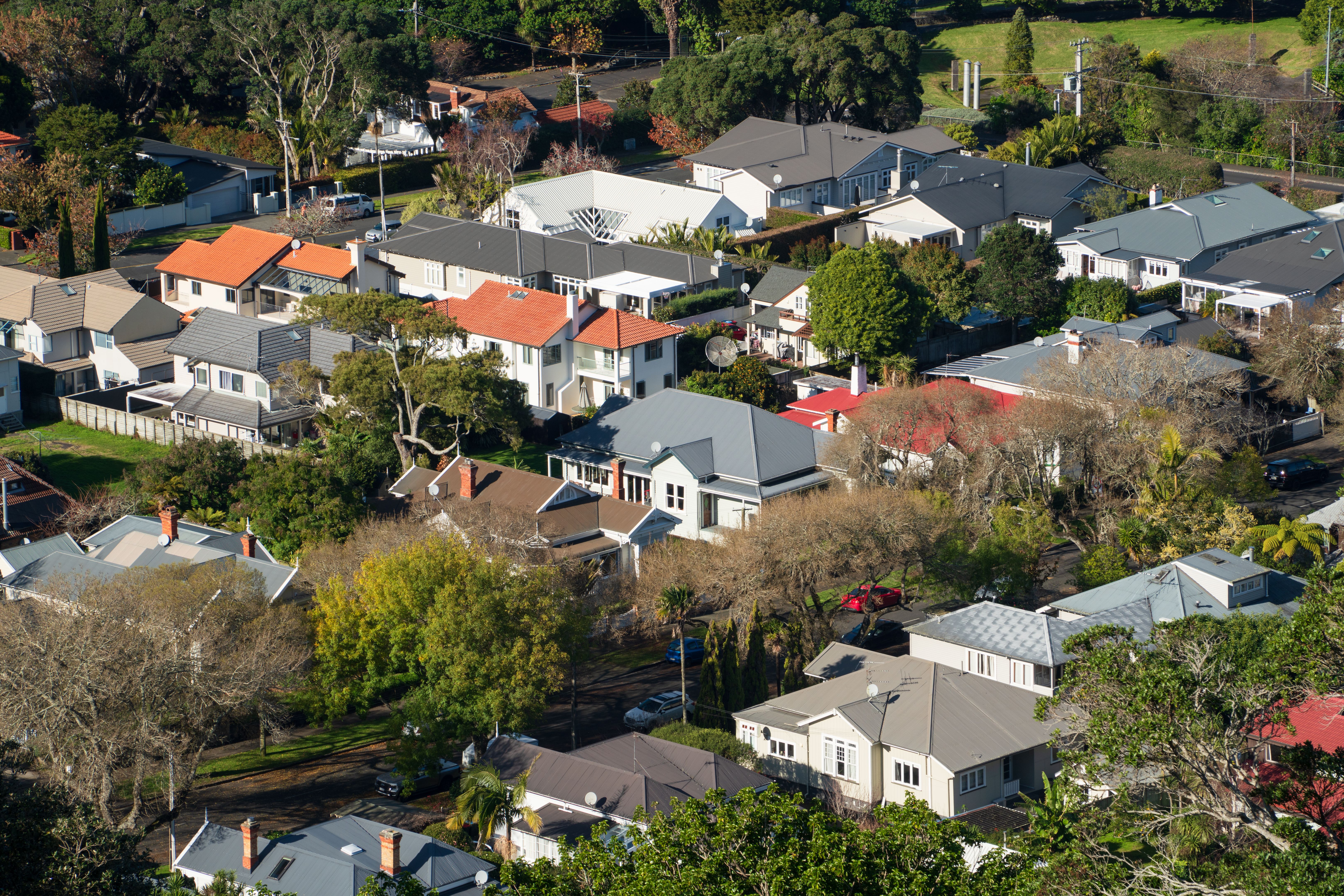 auckland cityscape