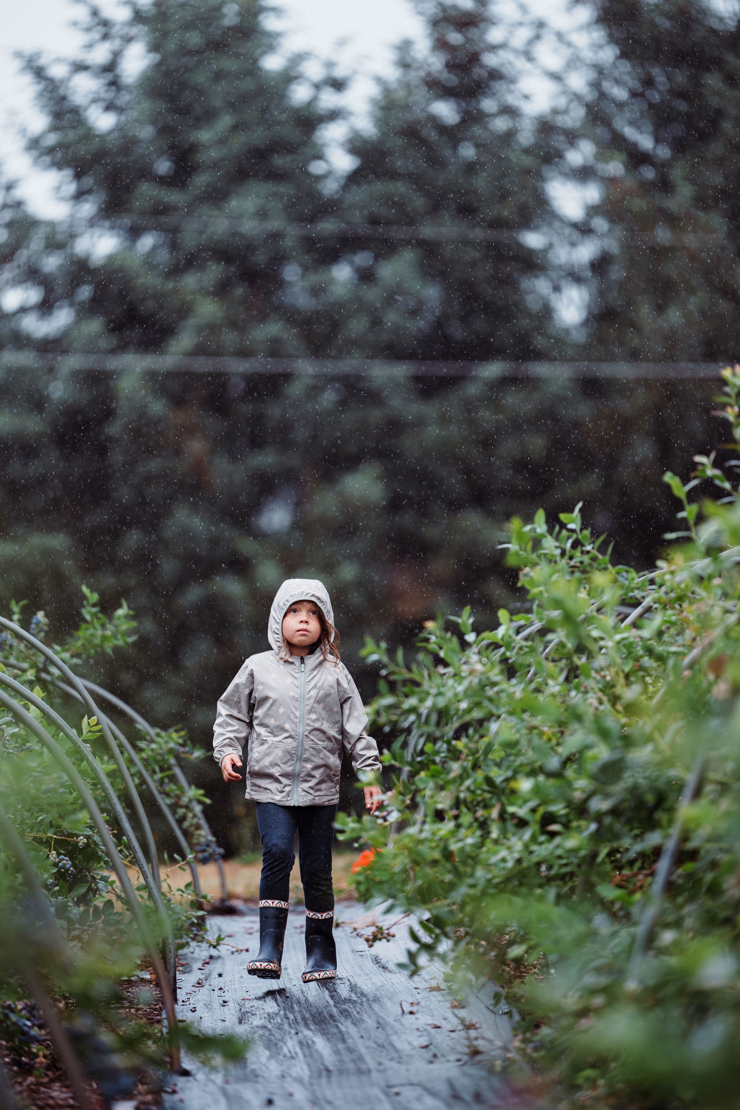 rainwater harvesting