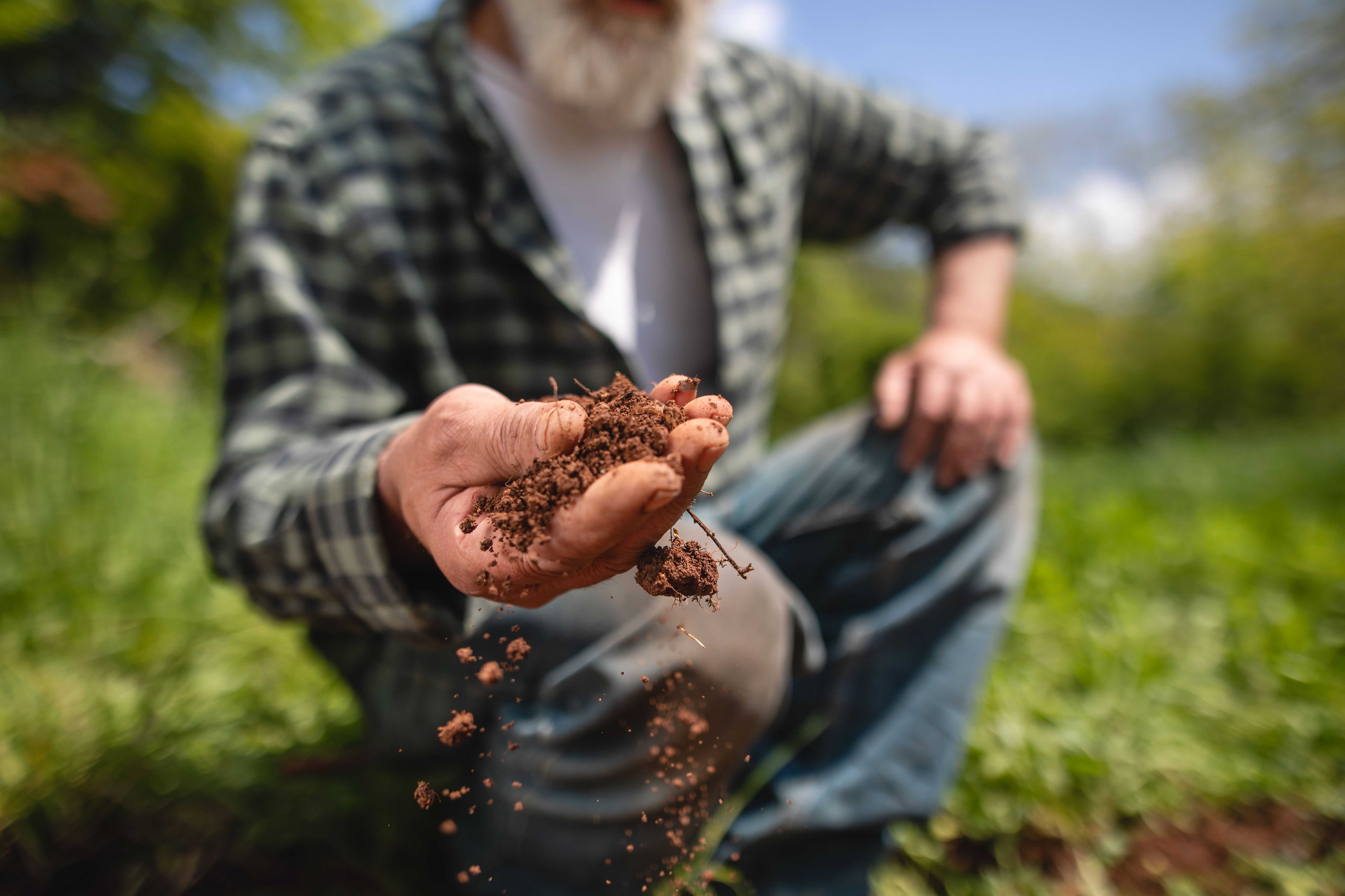 soil health
