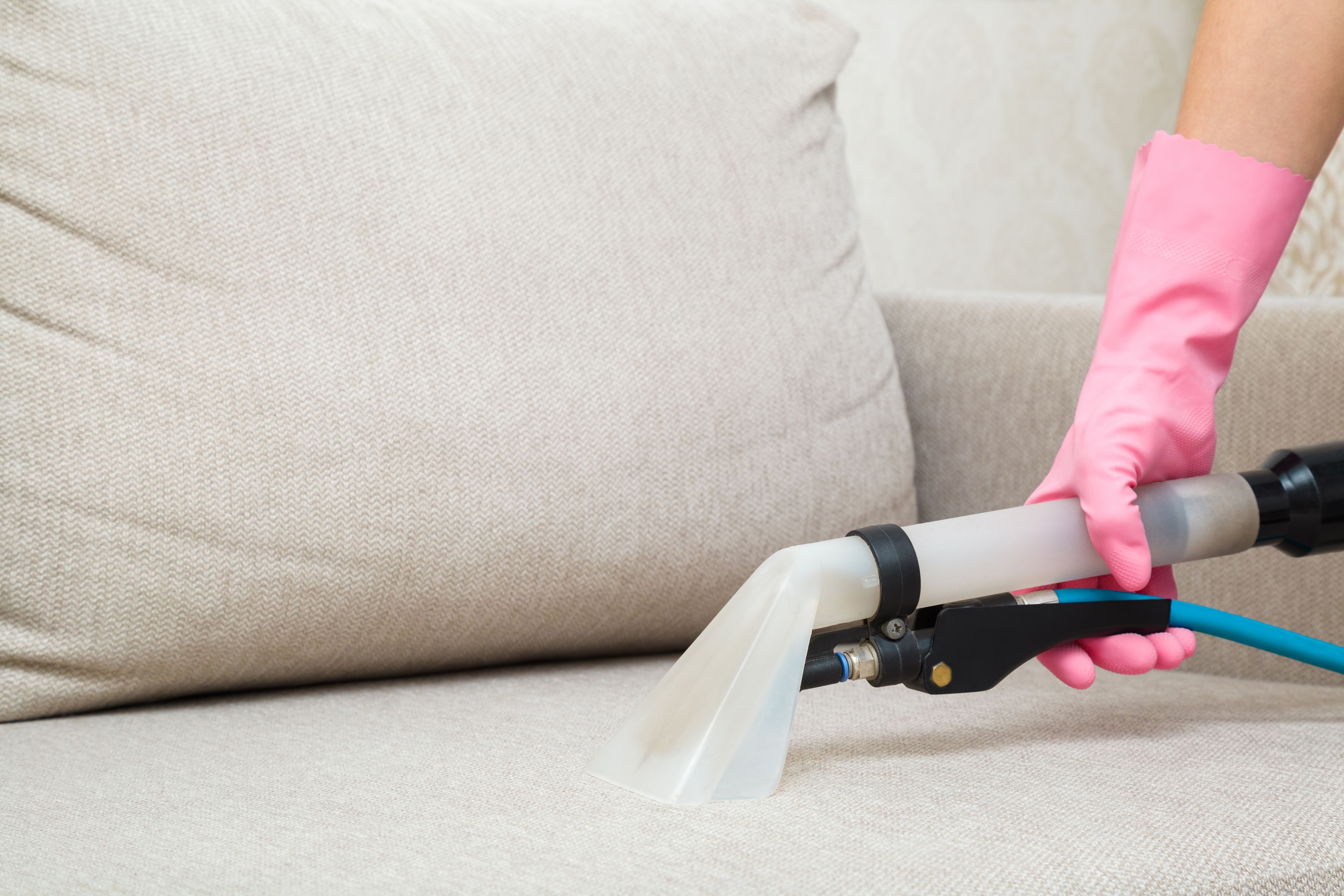 Woman hand in rubber protective glove using spray nozzle of professional vacuum cleaner and washing light beige seat of sofa at home. Extraction method. Commercial cleaning service. Closeup.