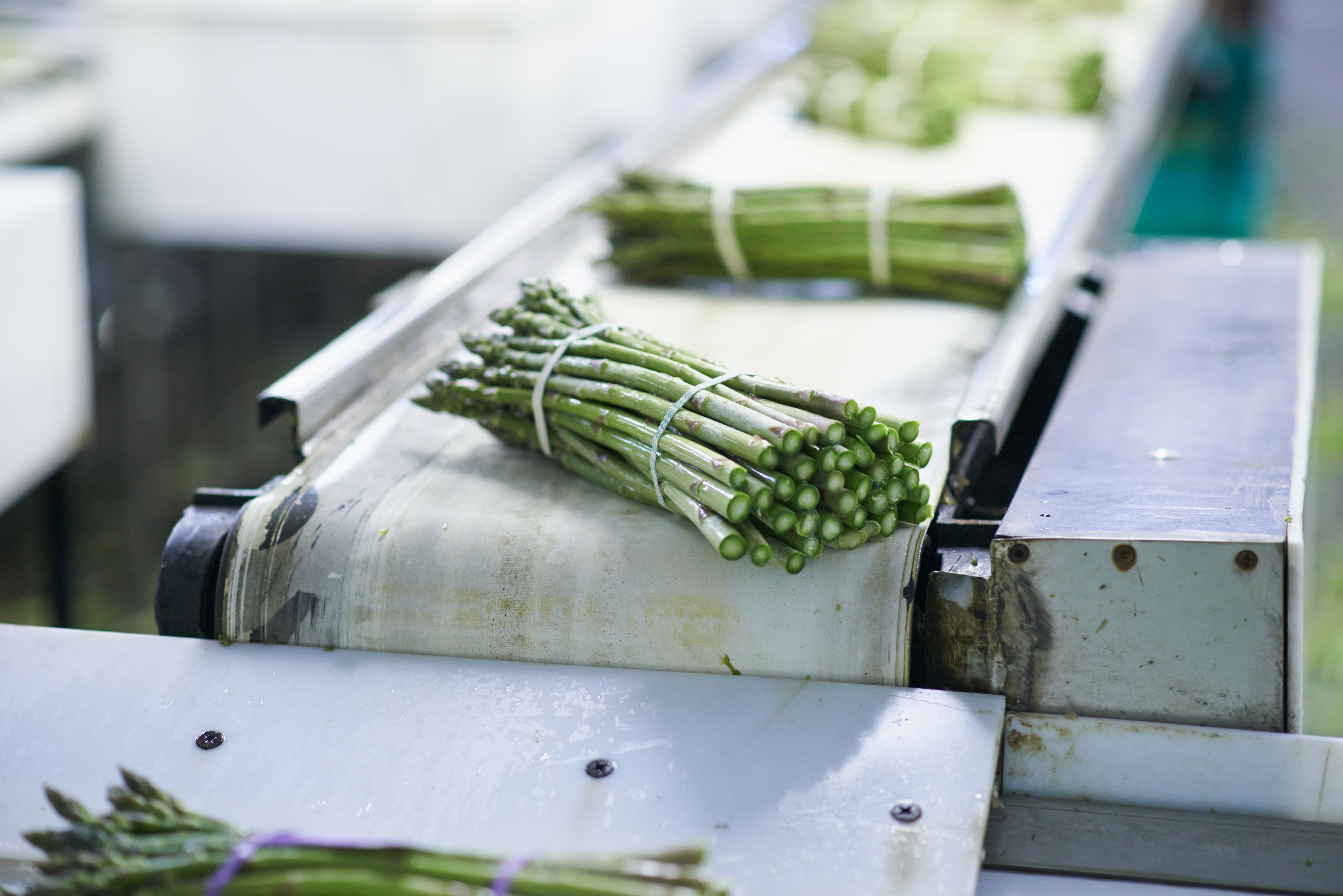 food processing