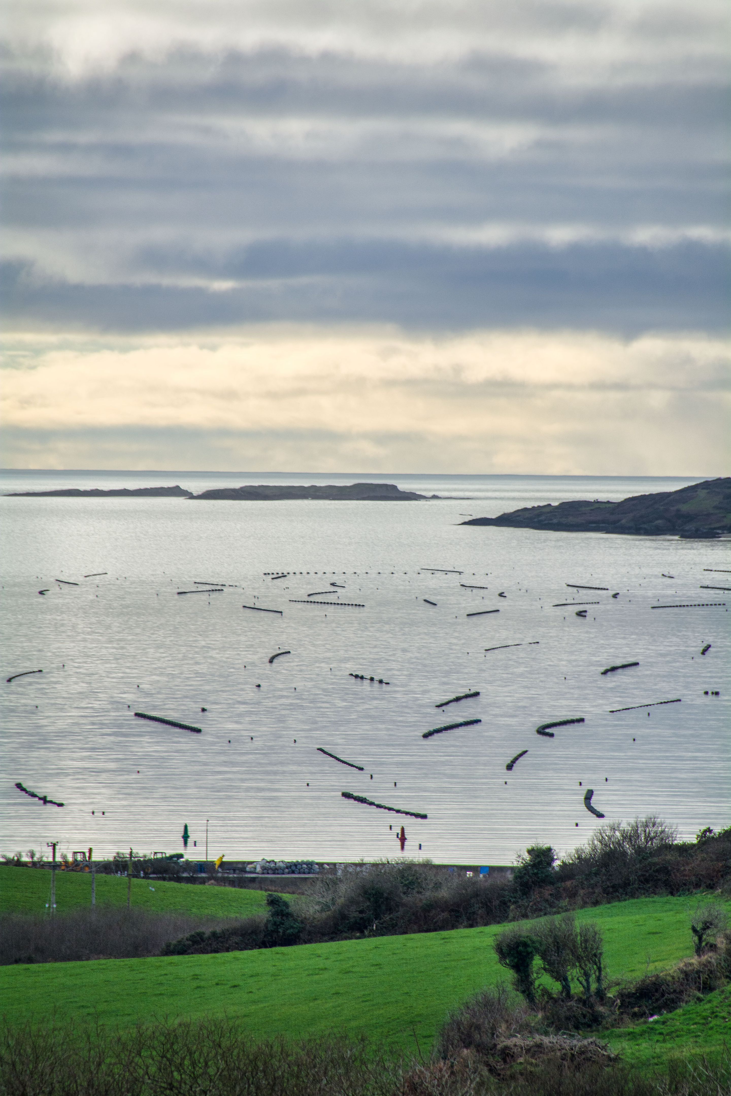 Mussel farming on Wild Atlantic Way near Skibbereen Cork