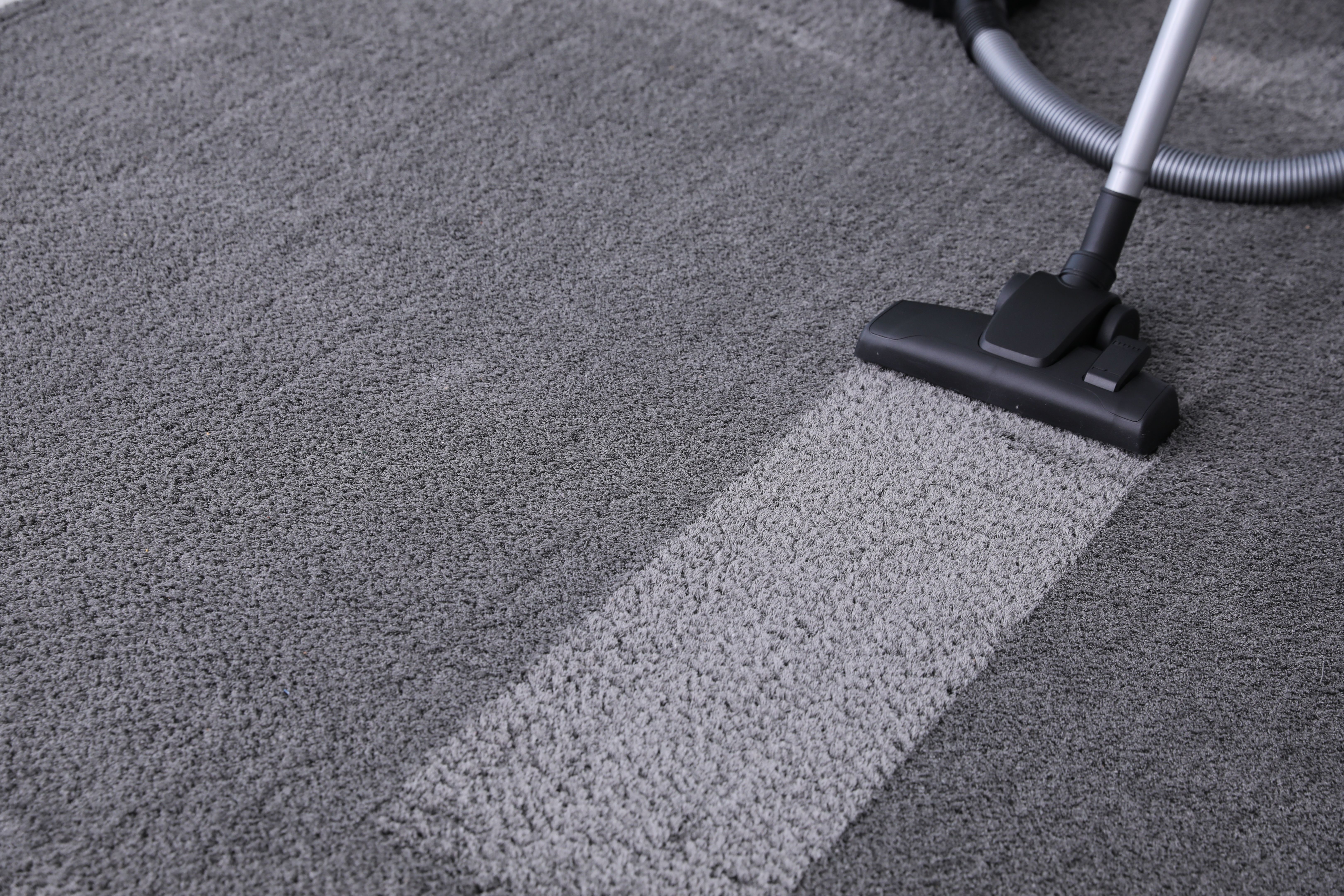 professional carpet cleaning