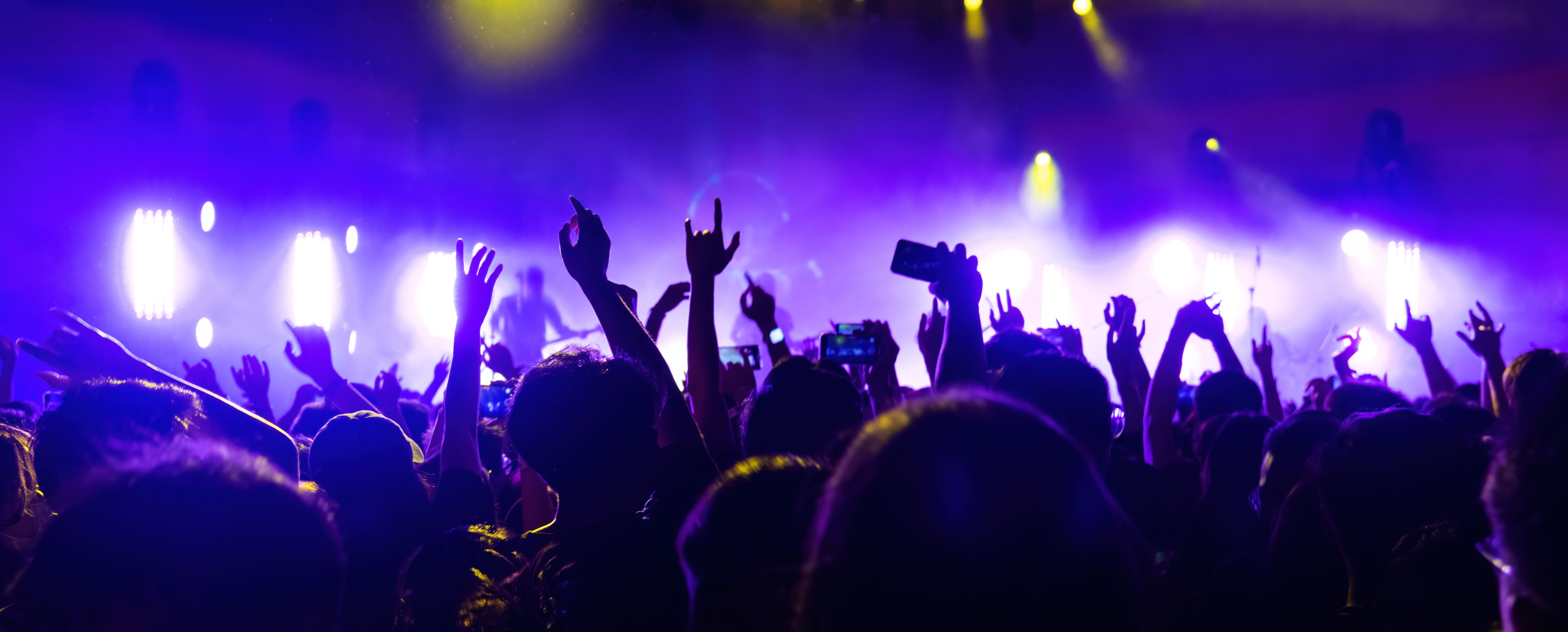 concert audience