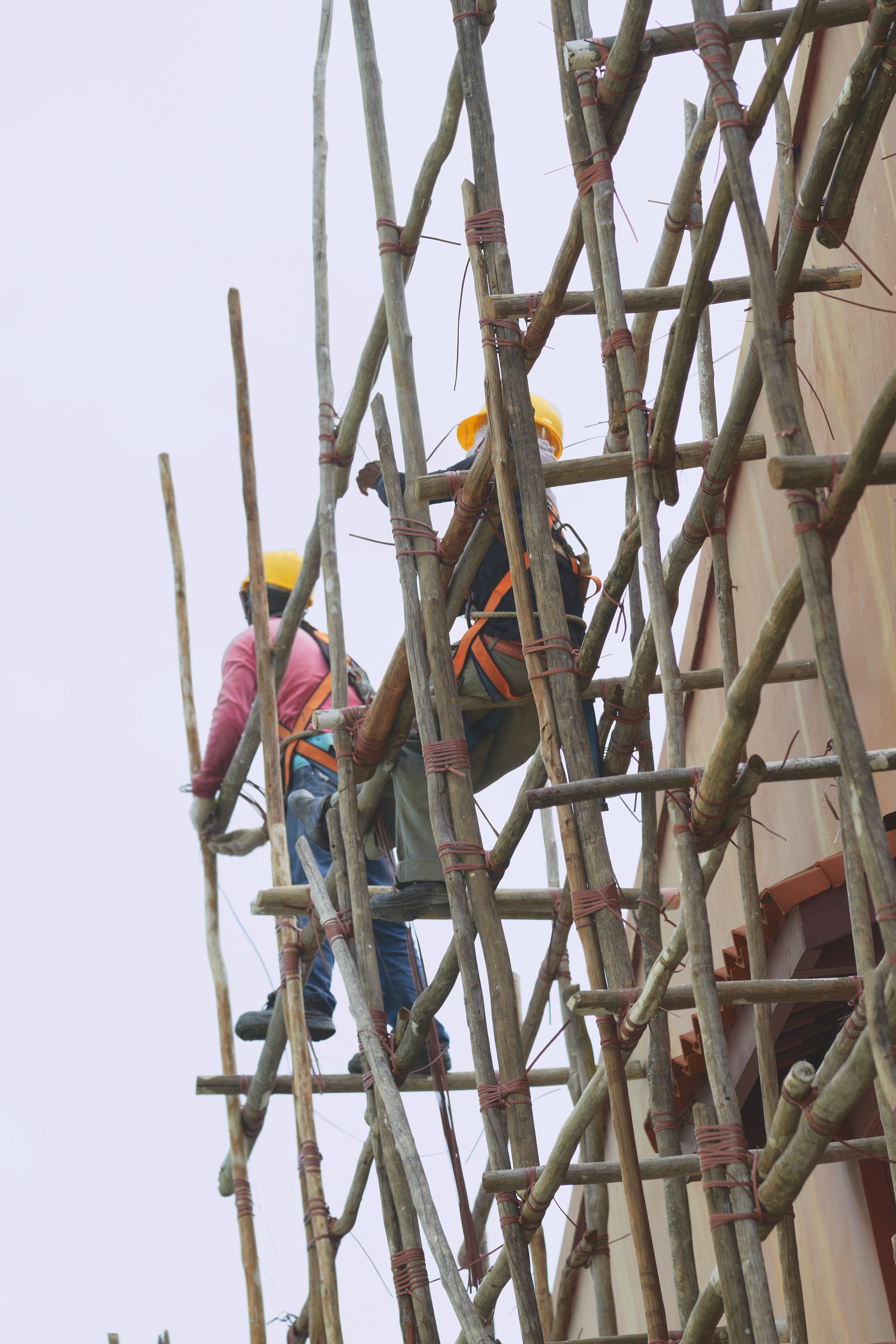 project management basics