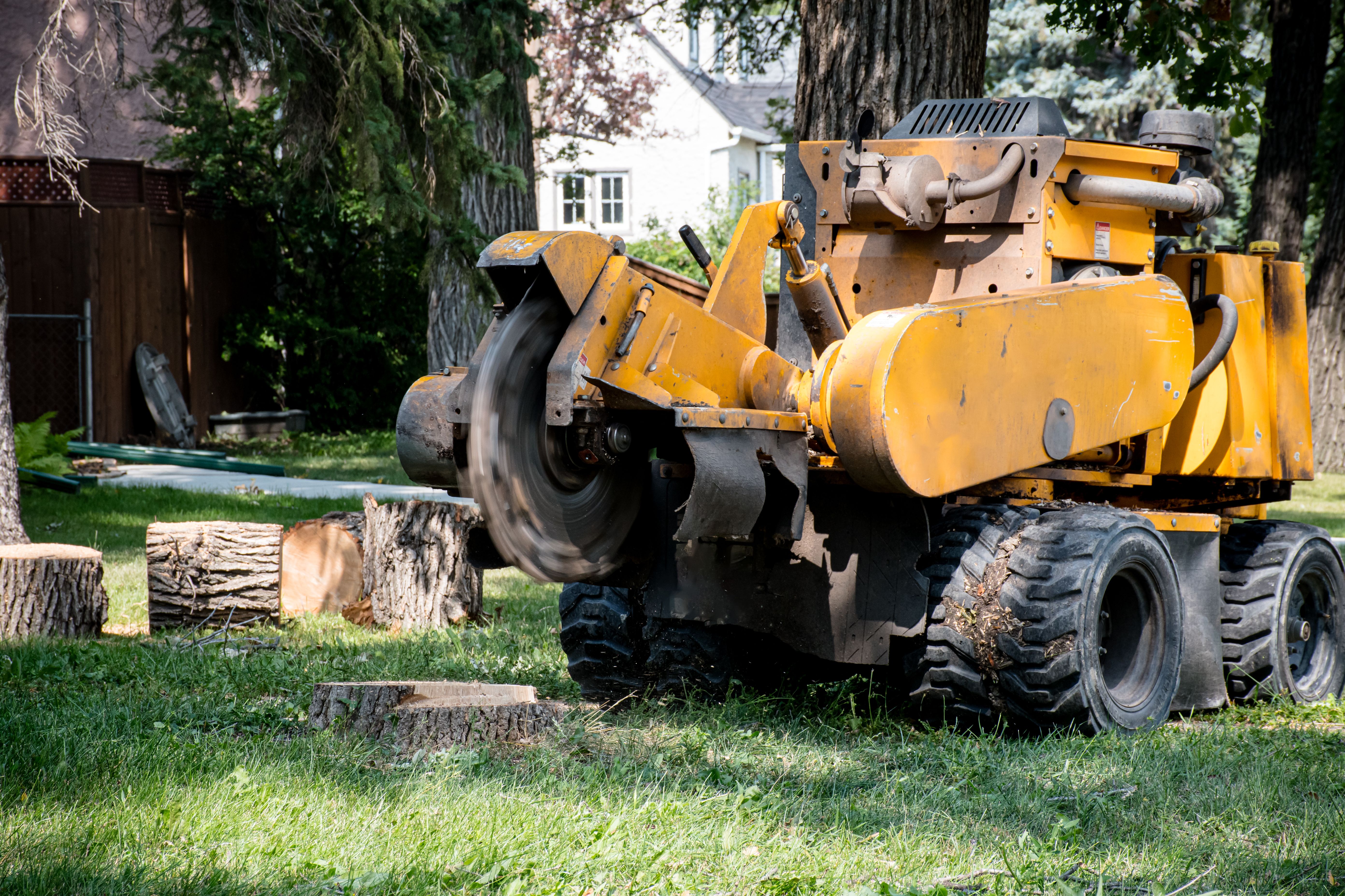 stump grinding