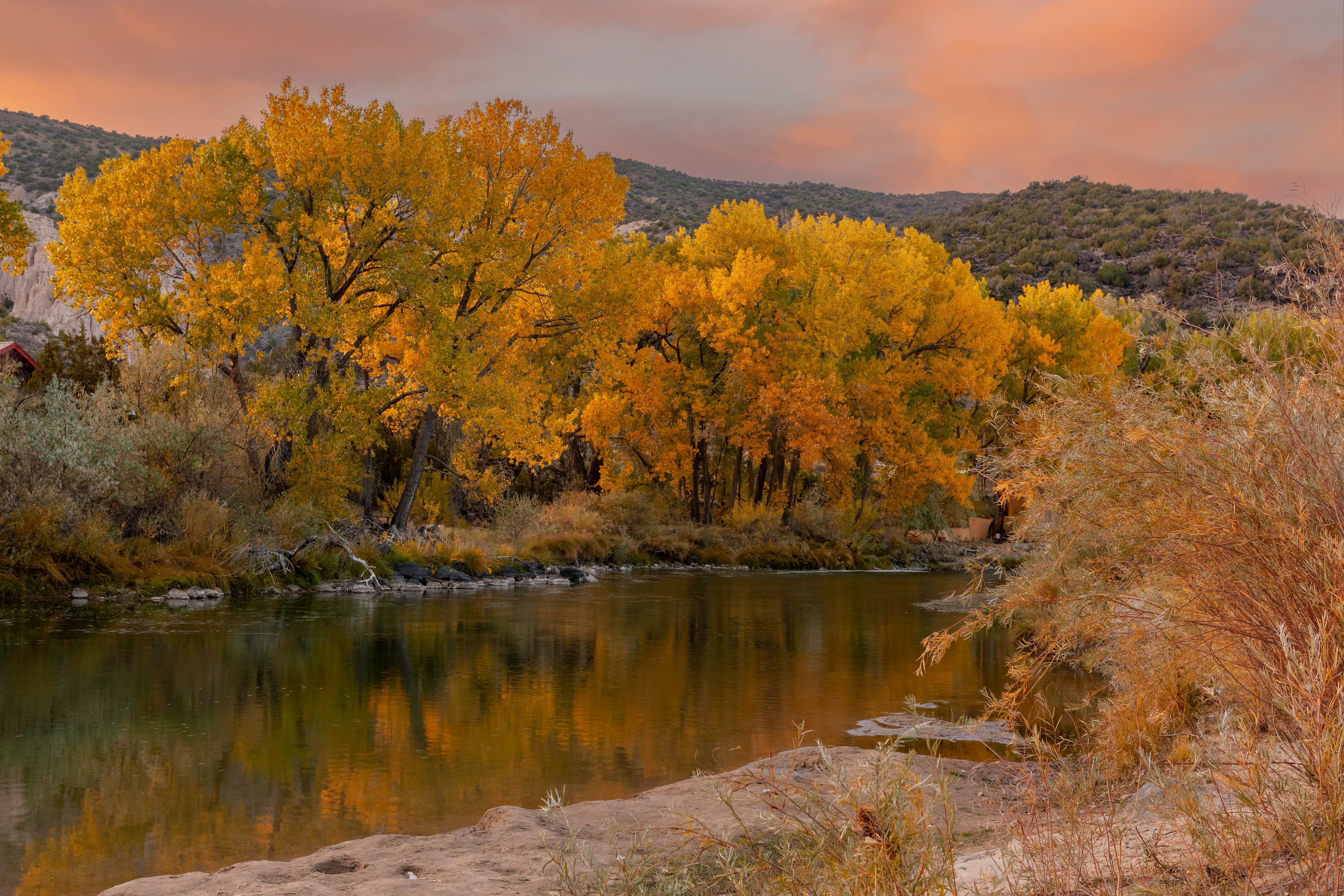 rio arriba landscape