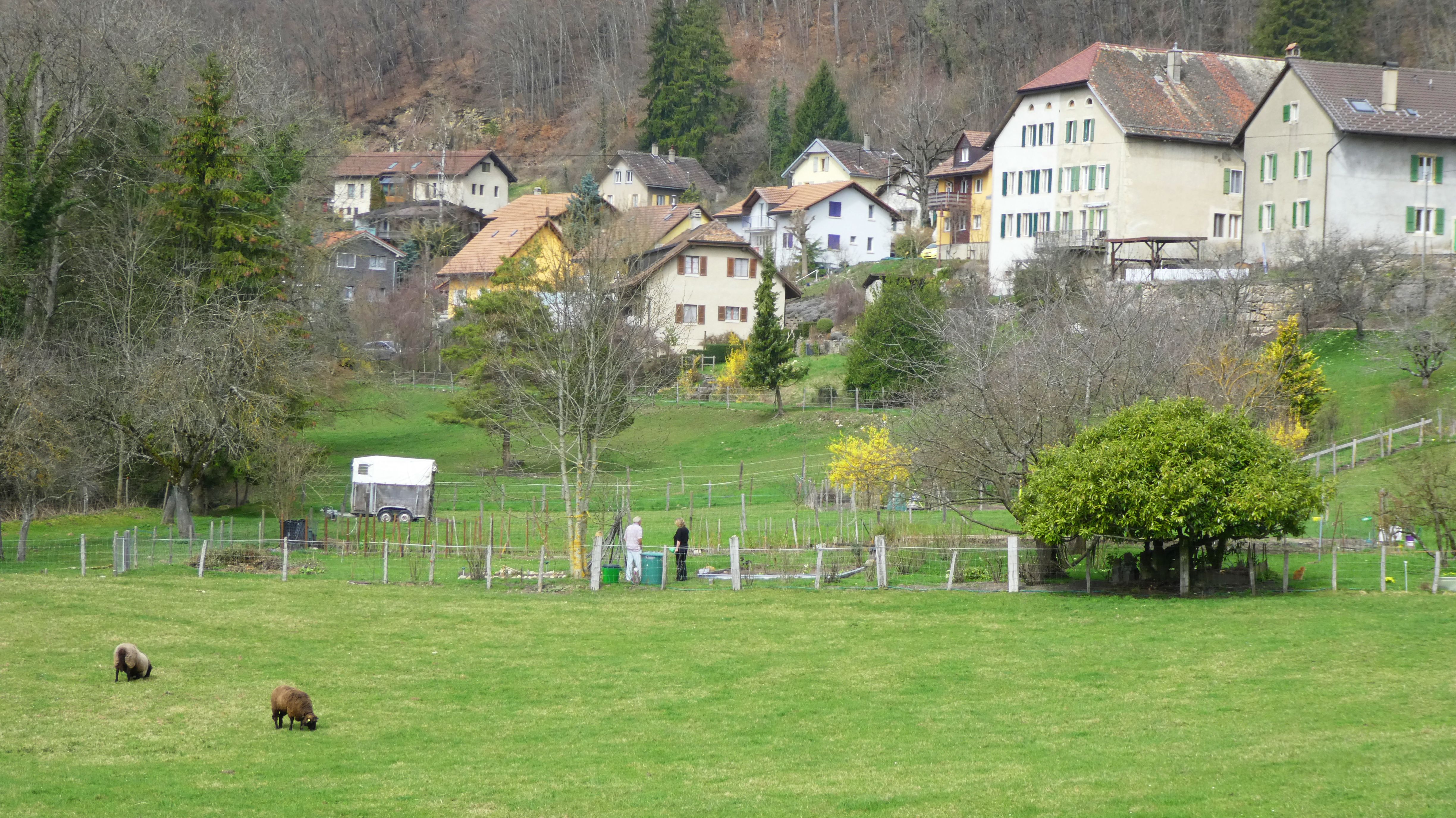 communauté heureuse