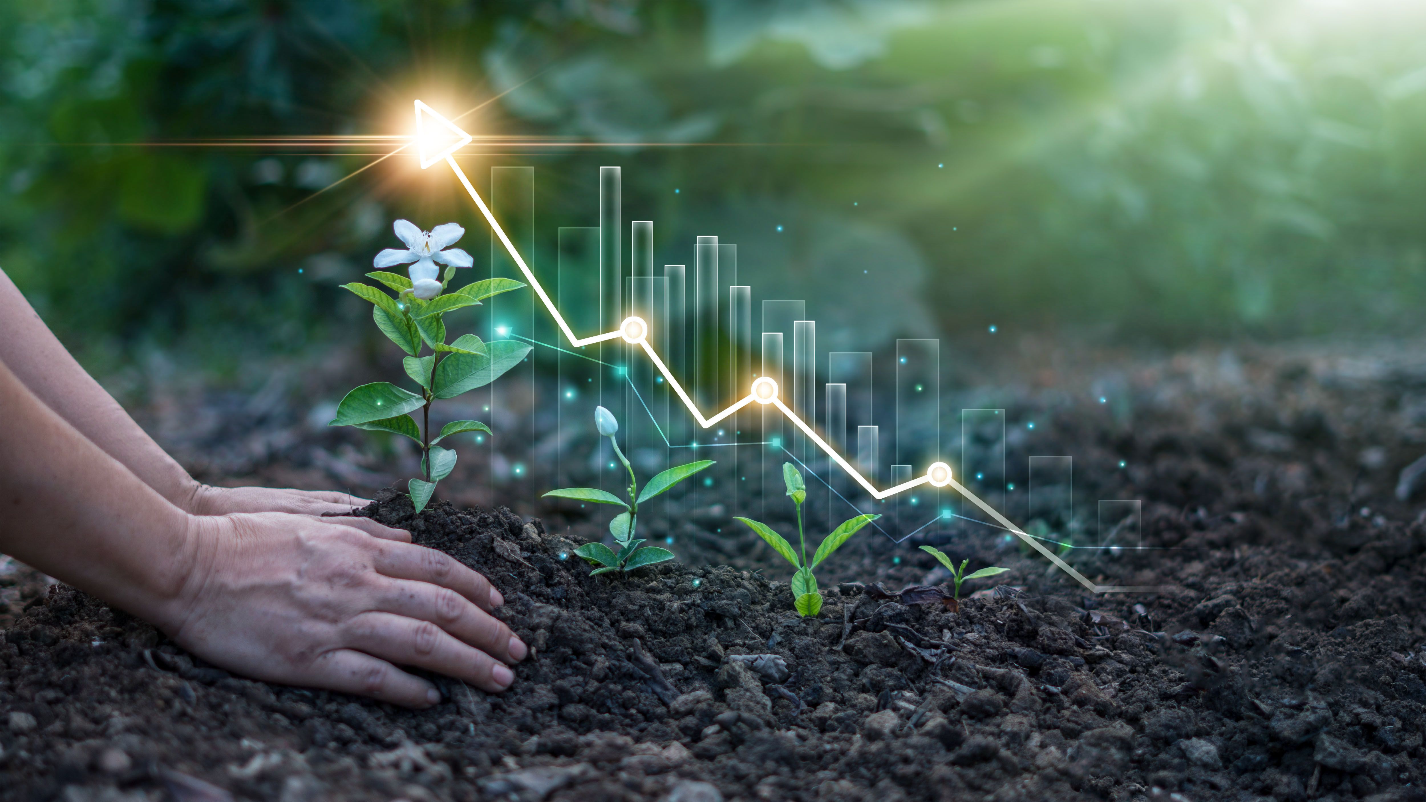 business growth sustainability