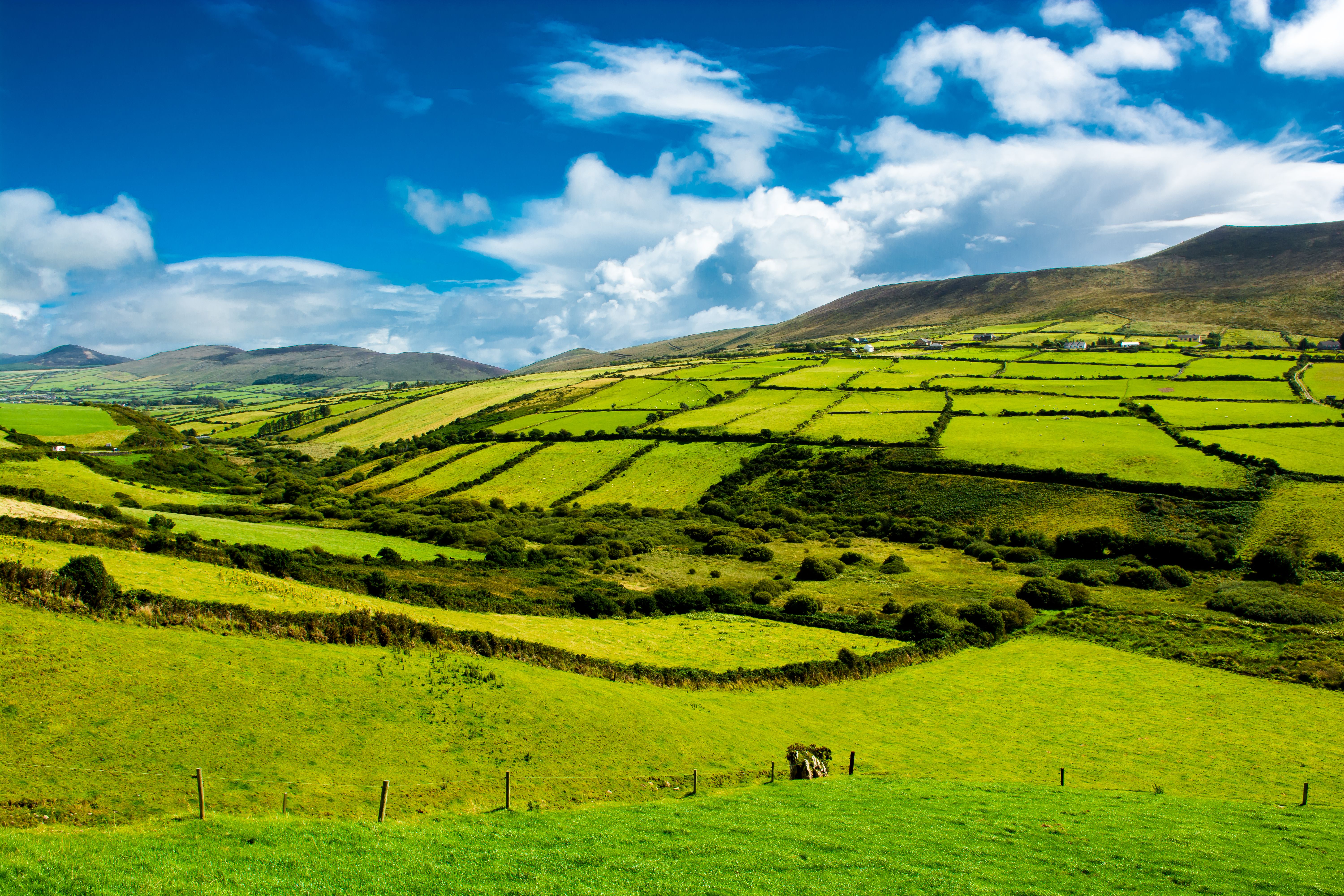 Rural Landscape With Pastures In Ireland Rural Landscape With Pastures In Ireland