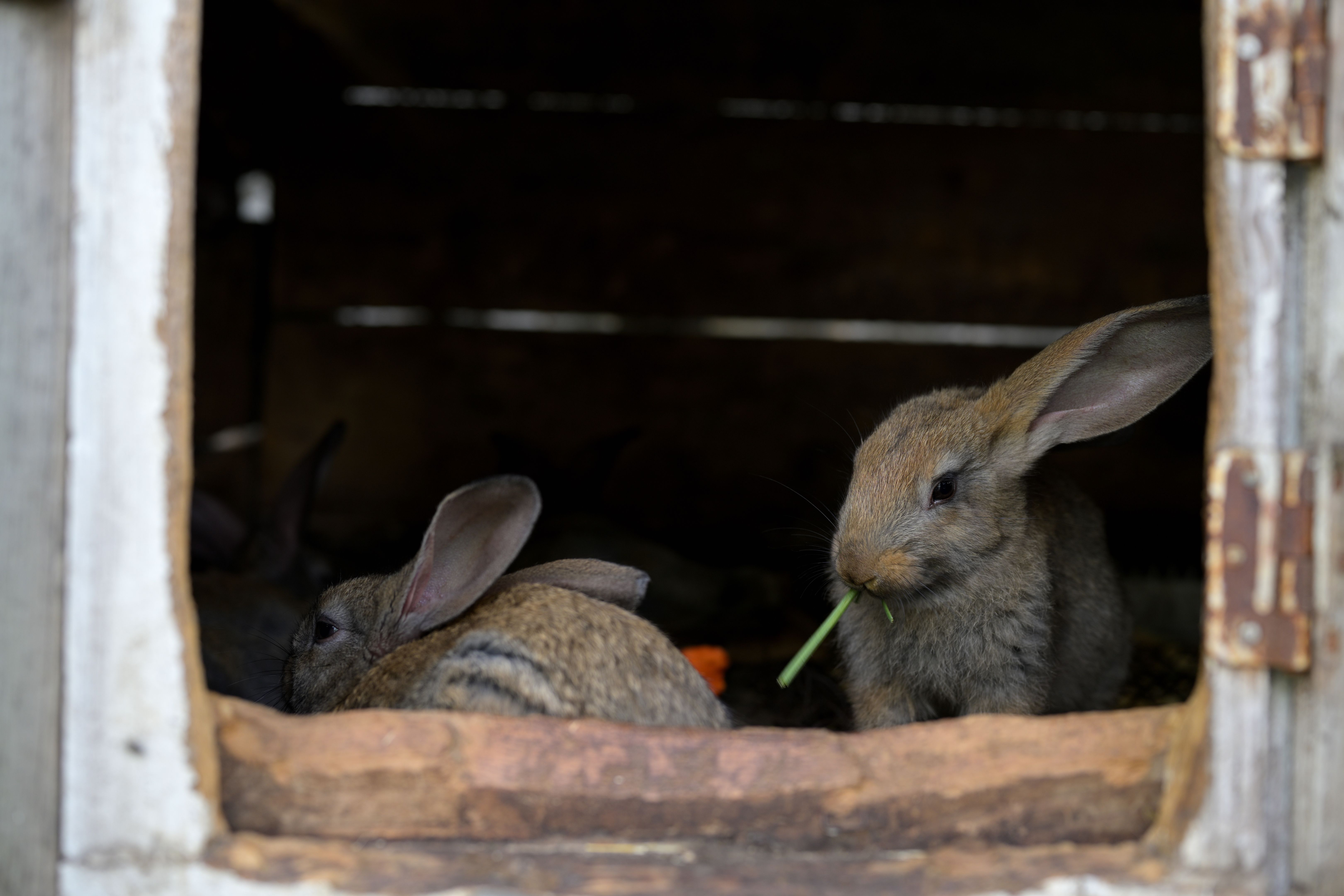 small space cabinets